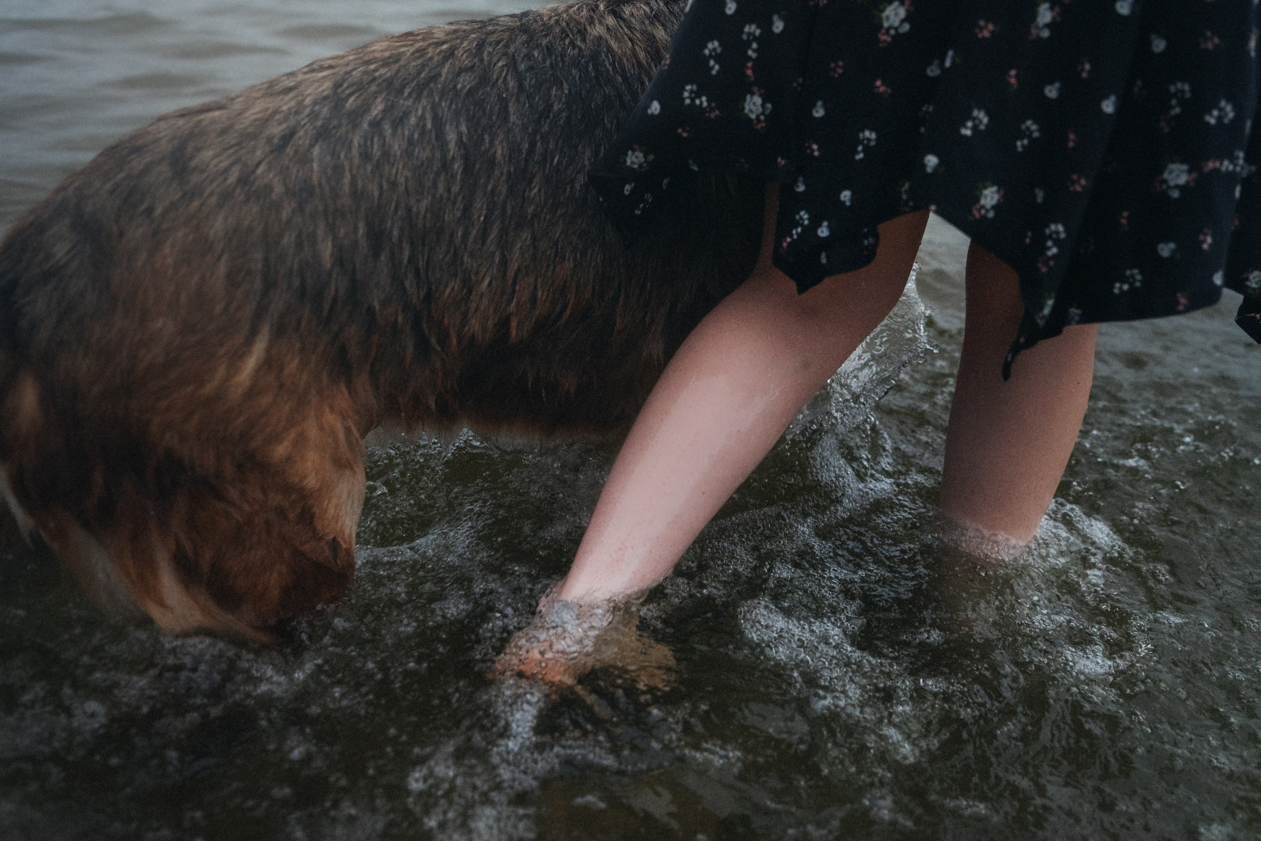Вика и Фрея. Фотограф анималист в Москве и Санкт-Петербурге Свиридова Анна