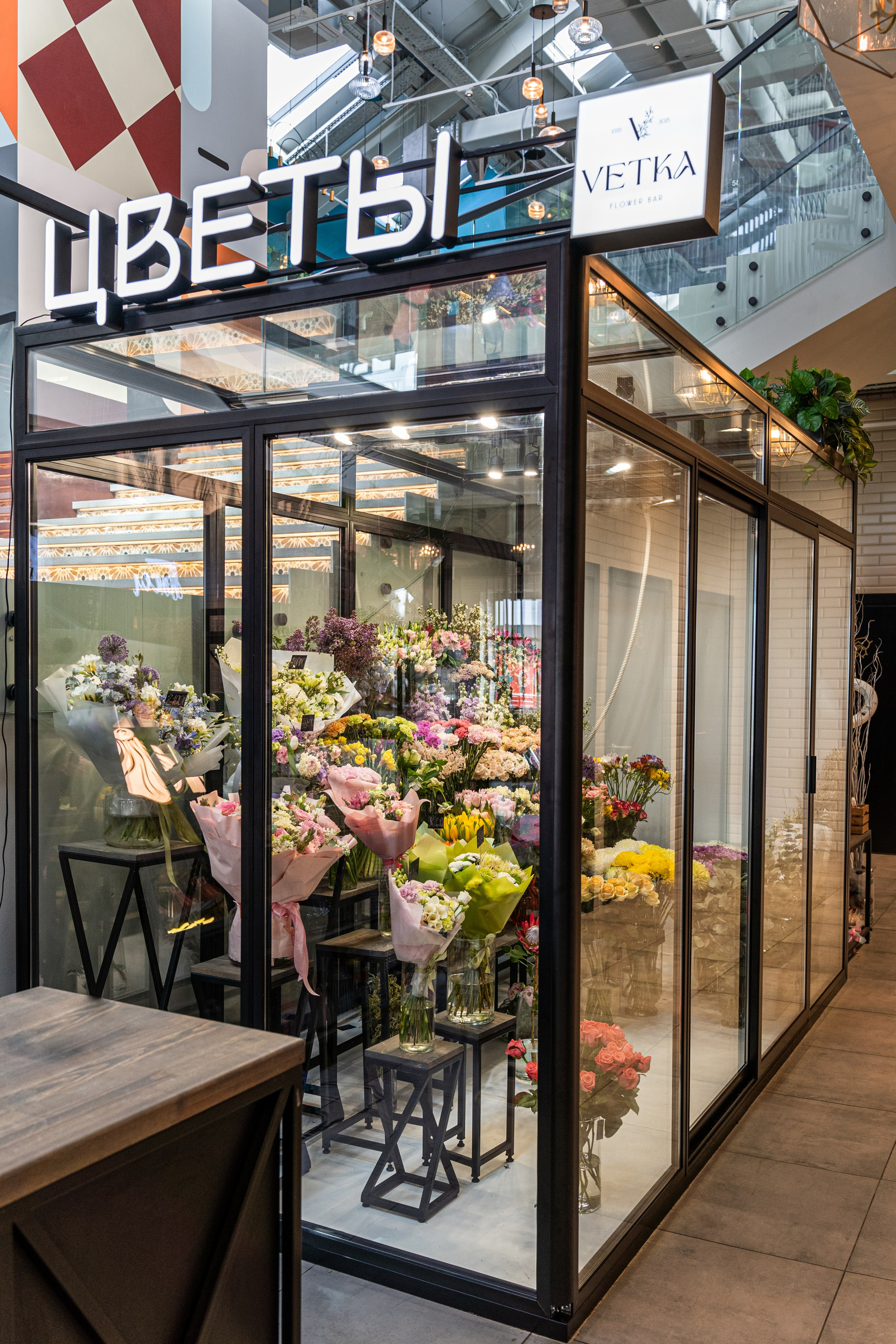 Регион холод. Елена Пашкевич, фотограф, Москва