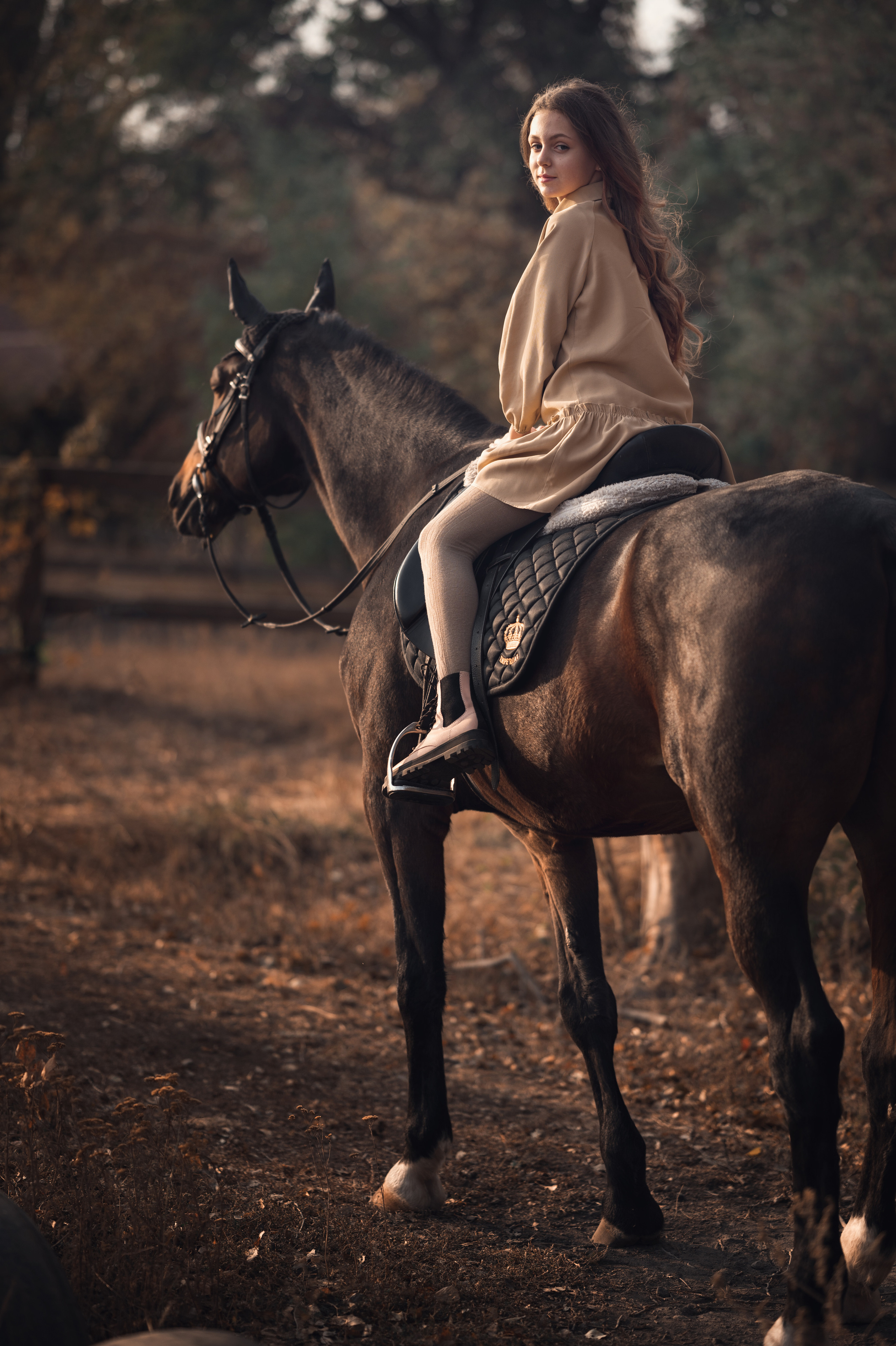 Фото с лошадями. Фотограф в Донецке Говорущенко Марина