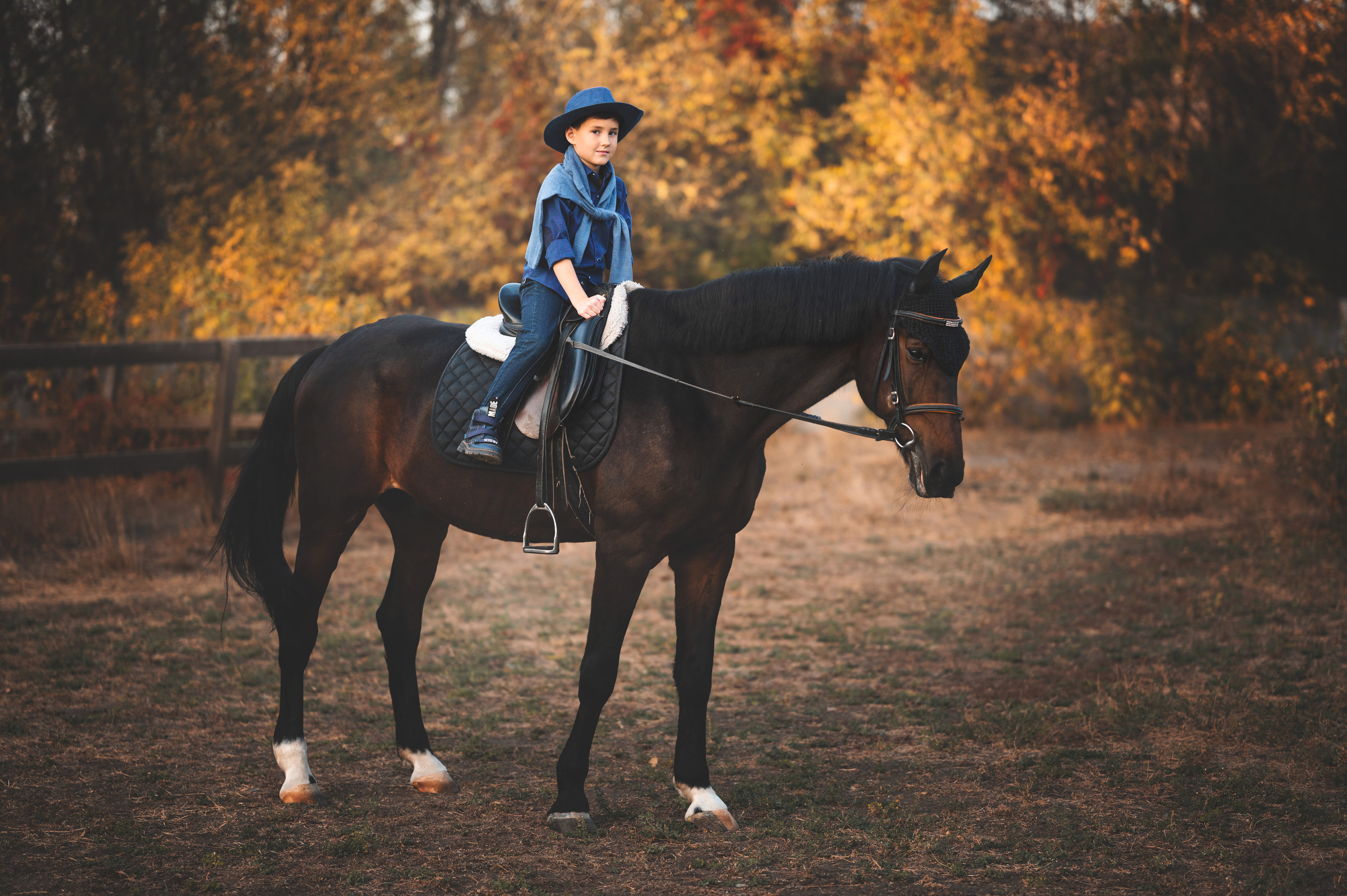 Фото с лошадями. Фотограф в Донецке Говорущенко Марина