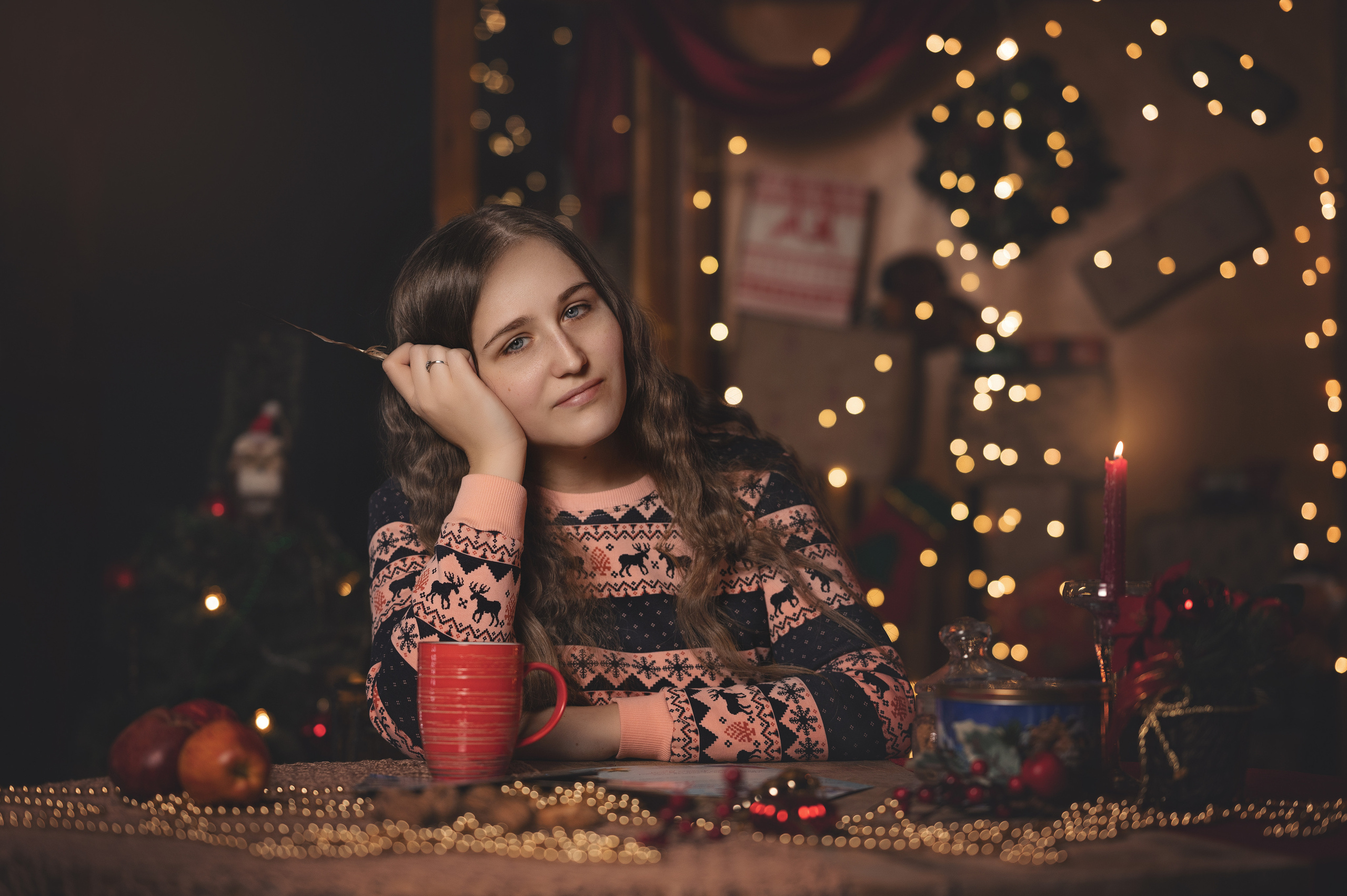 Новогодний проект. Фотограф в Донецке Говорущенко Марина