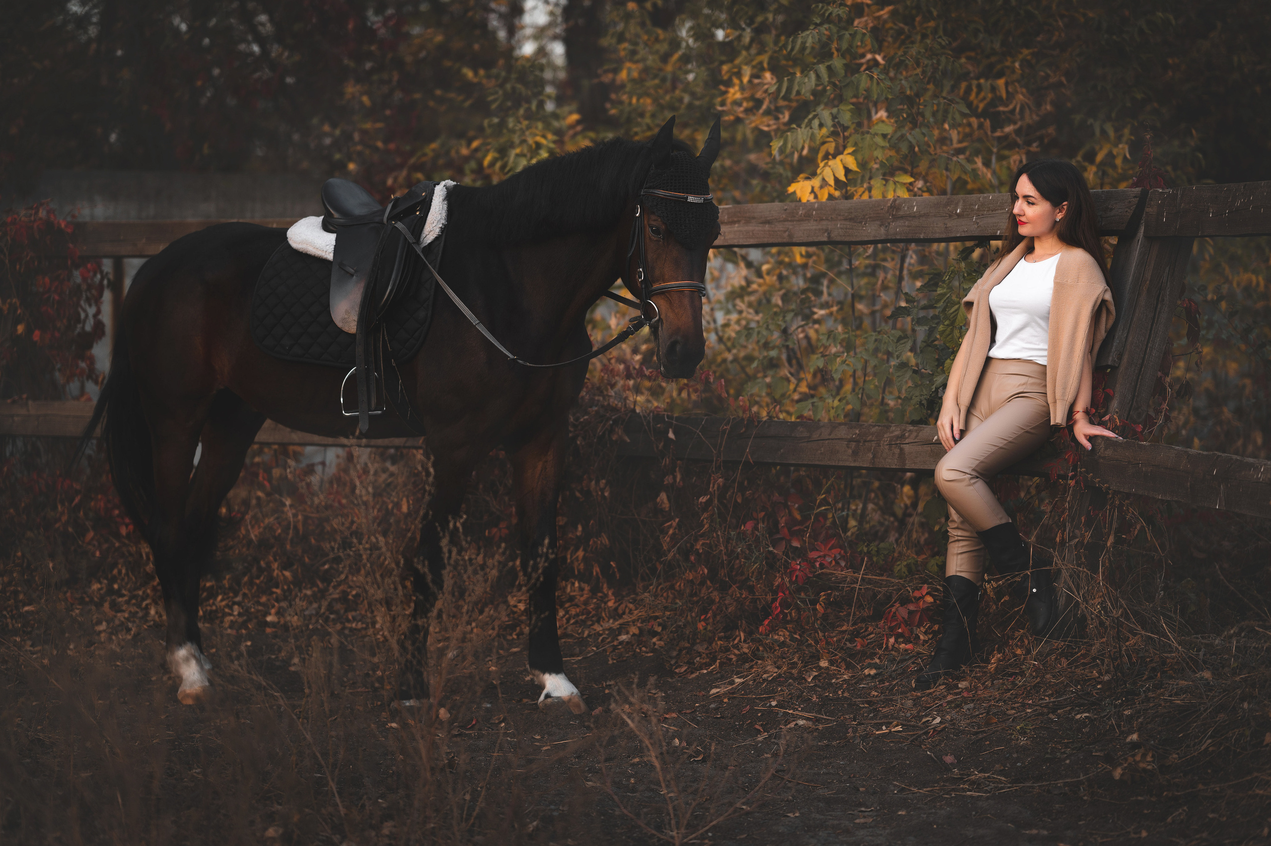 Фото с лошадями. Фотограф в Донецке Говорущенко Марина