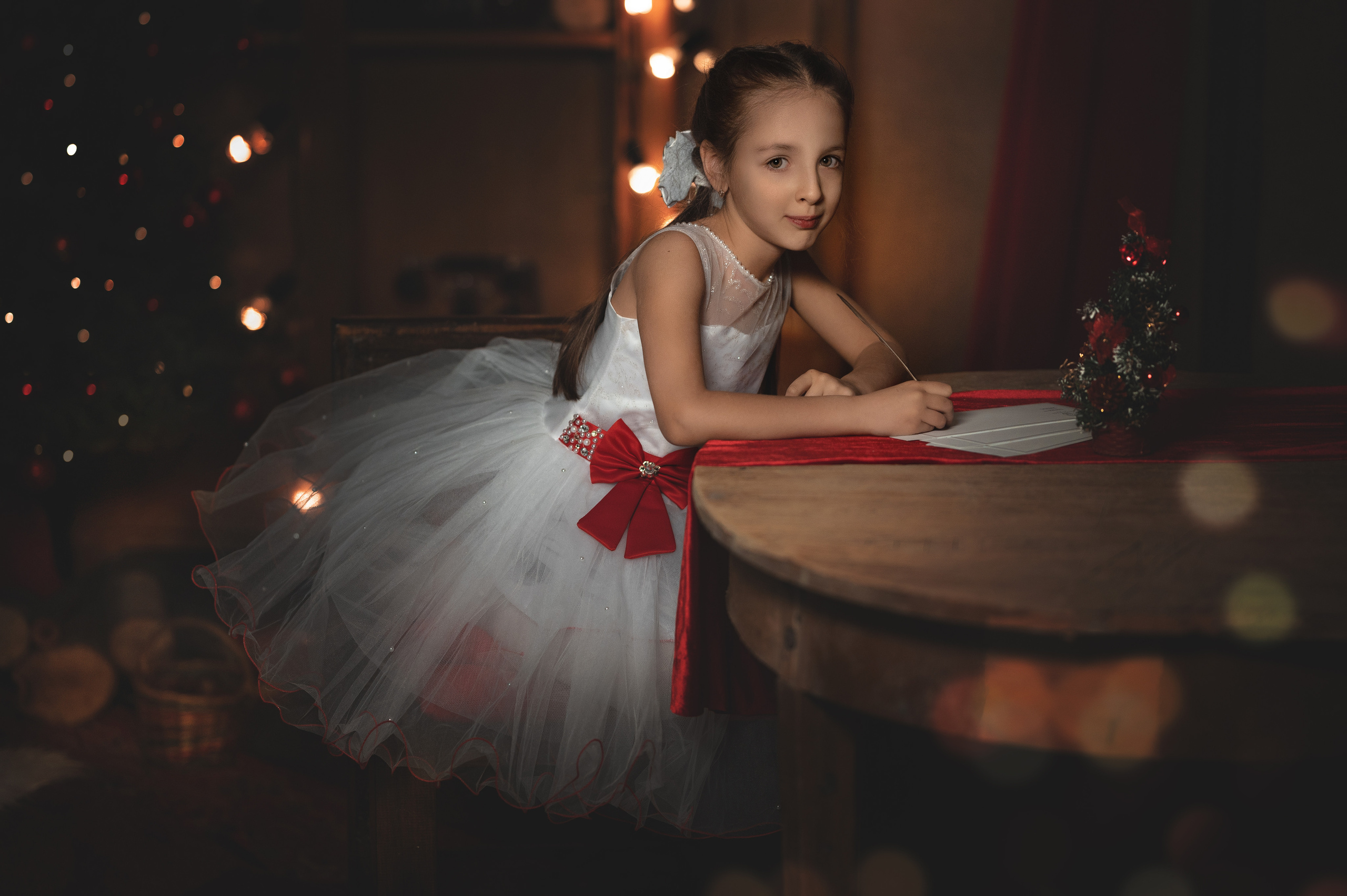 Новогодний проект. Фотограф в Донецке Говорущенко Марина