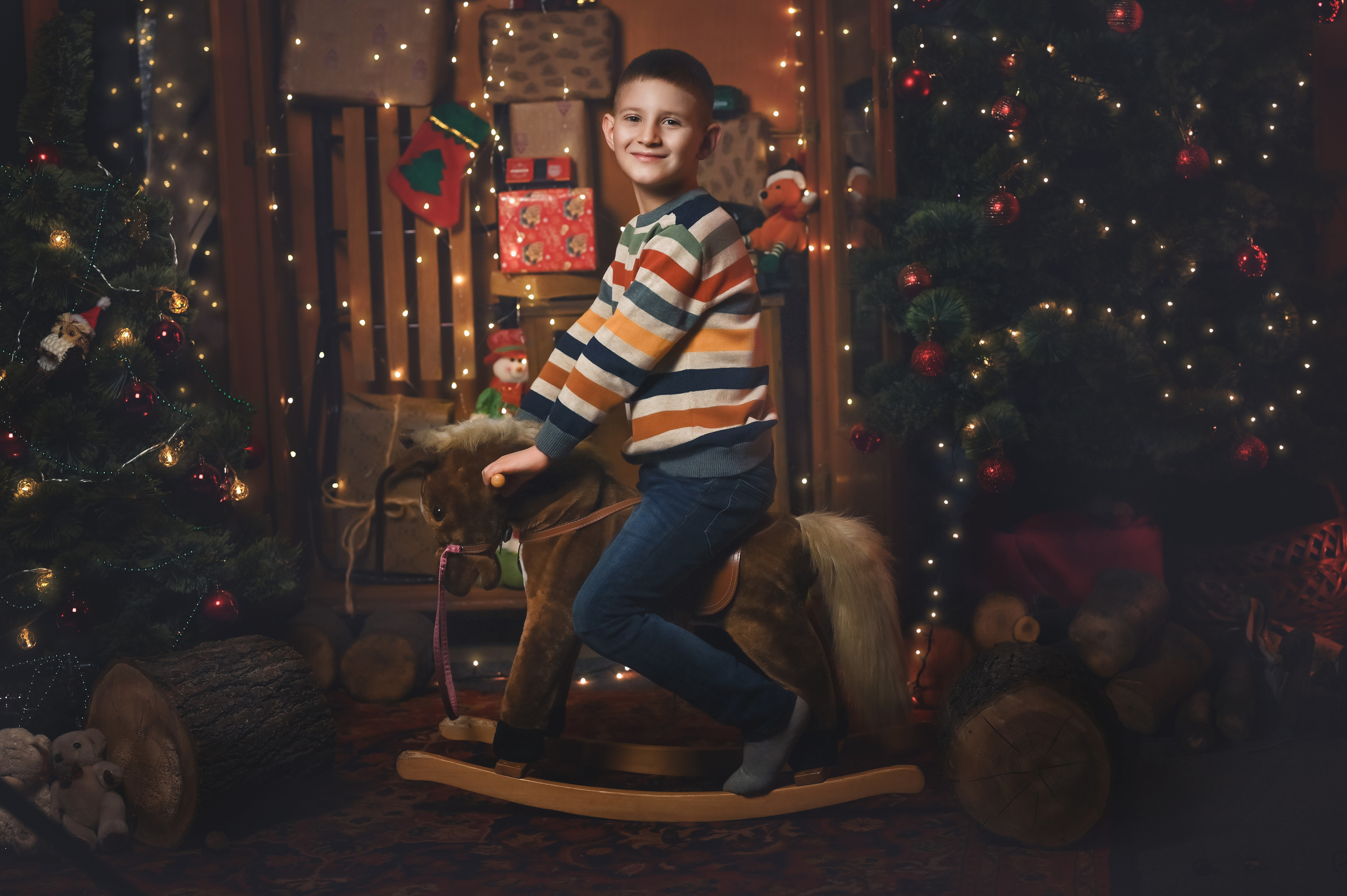 Новогодний проект. Фотограф в Донецке Говорущенко Марина