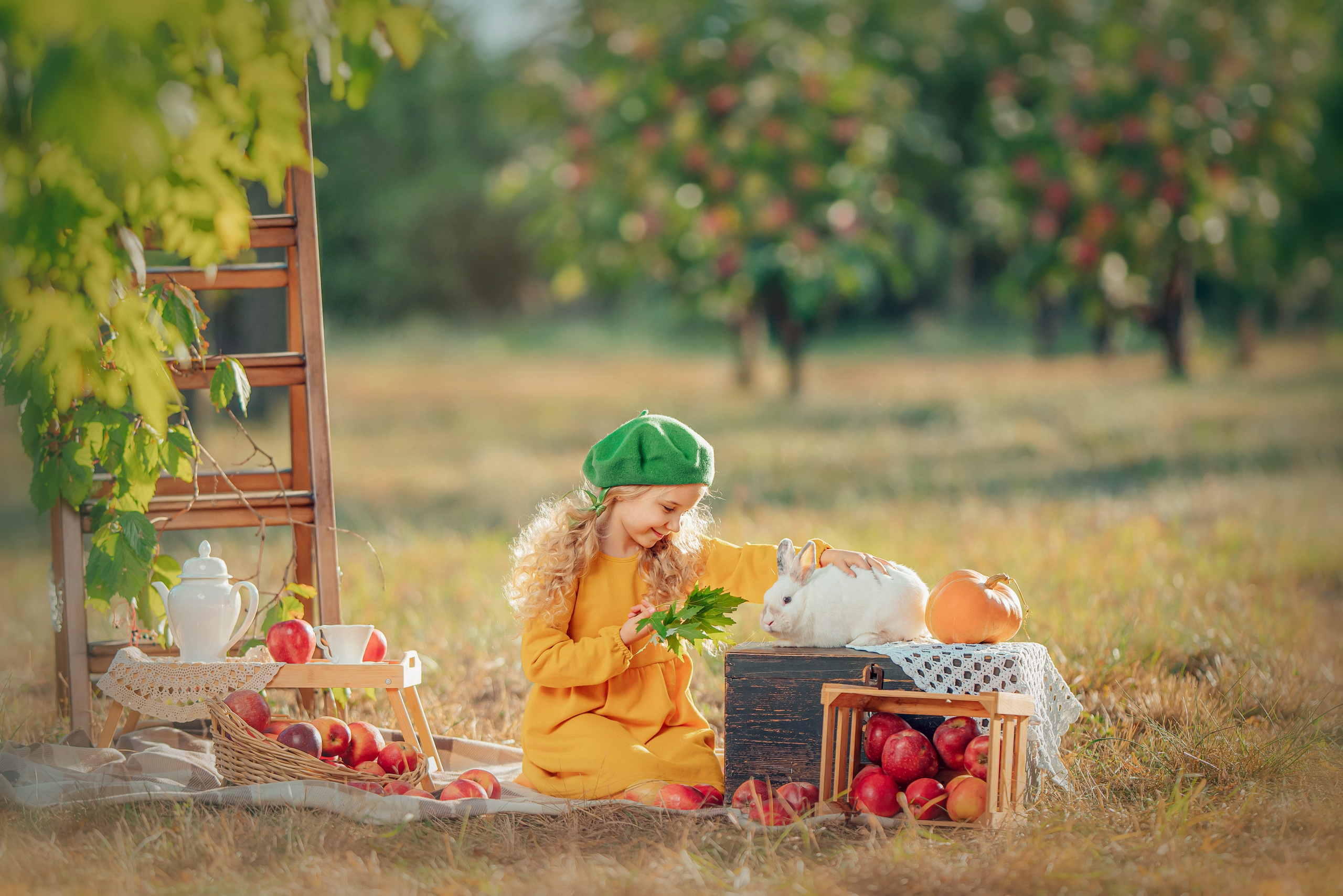 21.09 Фотодень с яблоками. Семейный фотограф в Краснодаре