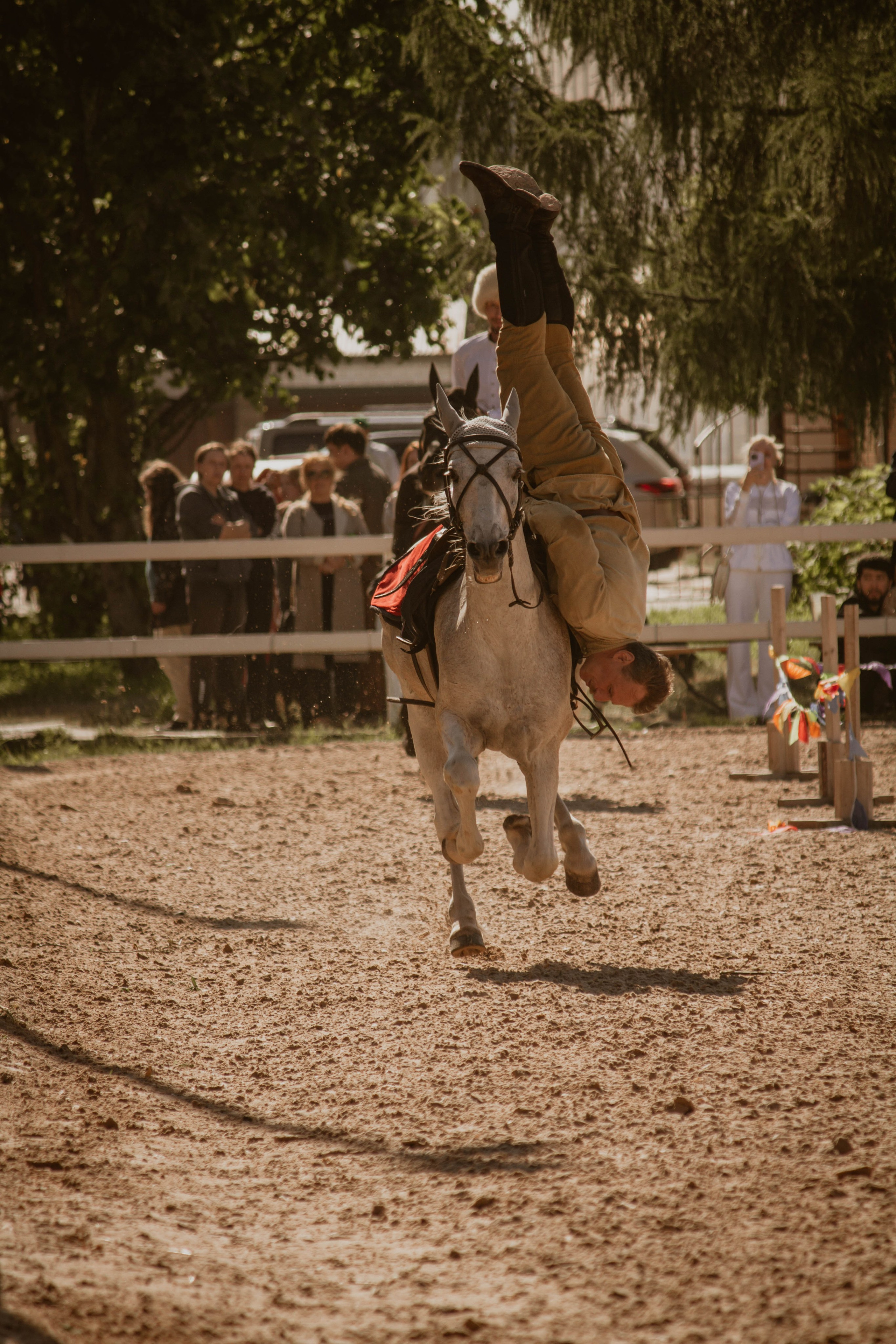 ИППОСФЕРА — Международная конная выставка. Создадим шедевр? Виталина и её фотоискусство