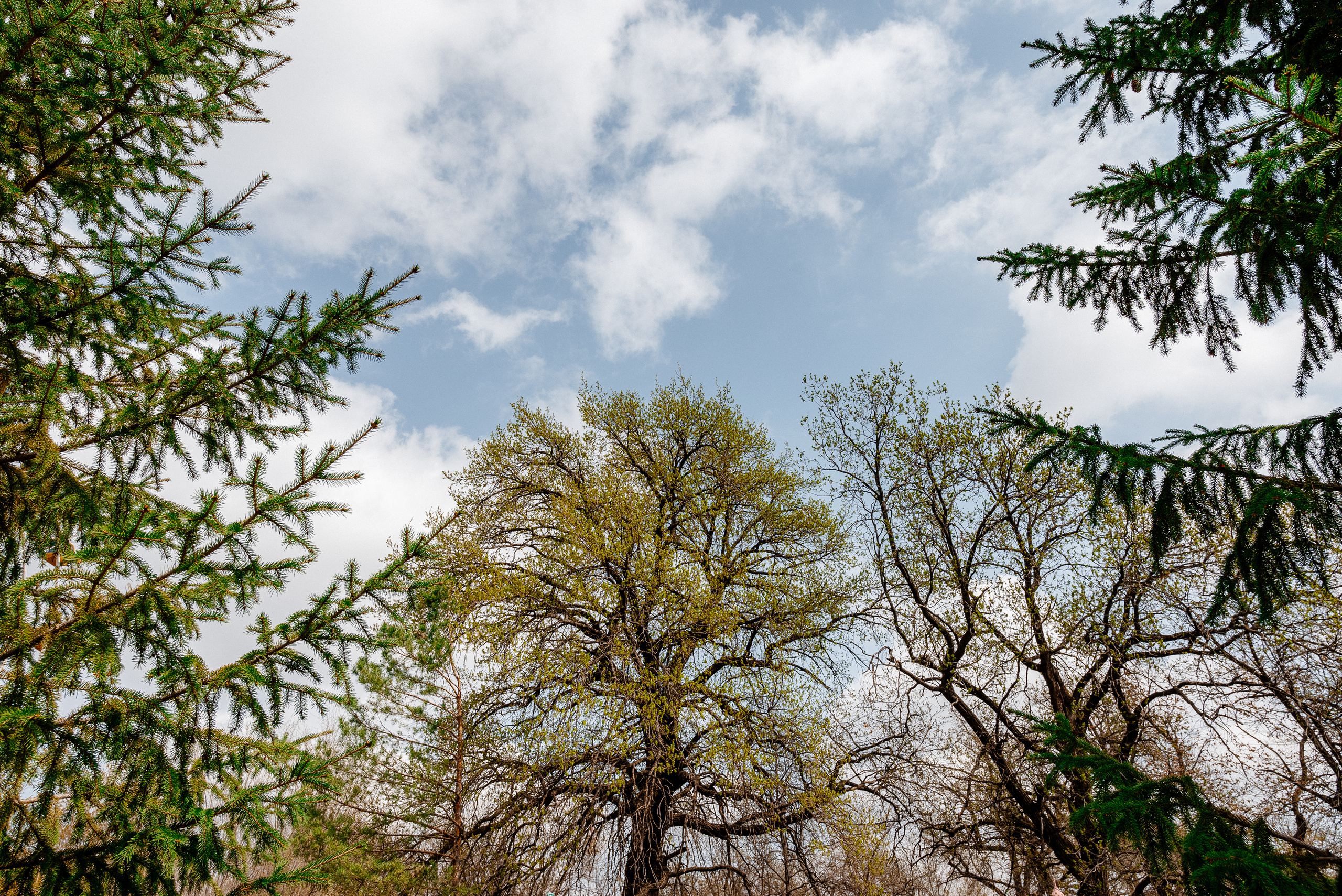 Пейзажи. Фотограф в Уральске | Трищенков Гордей