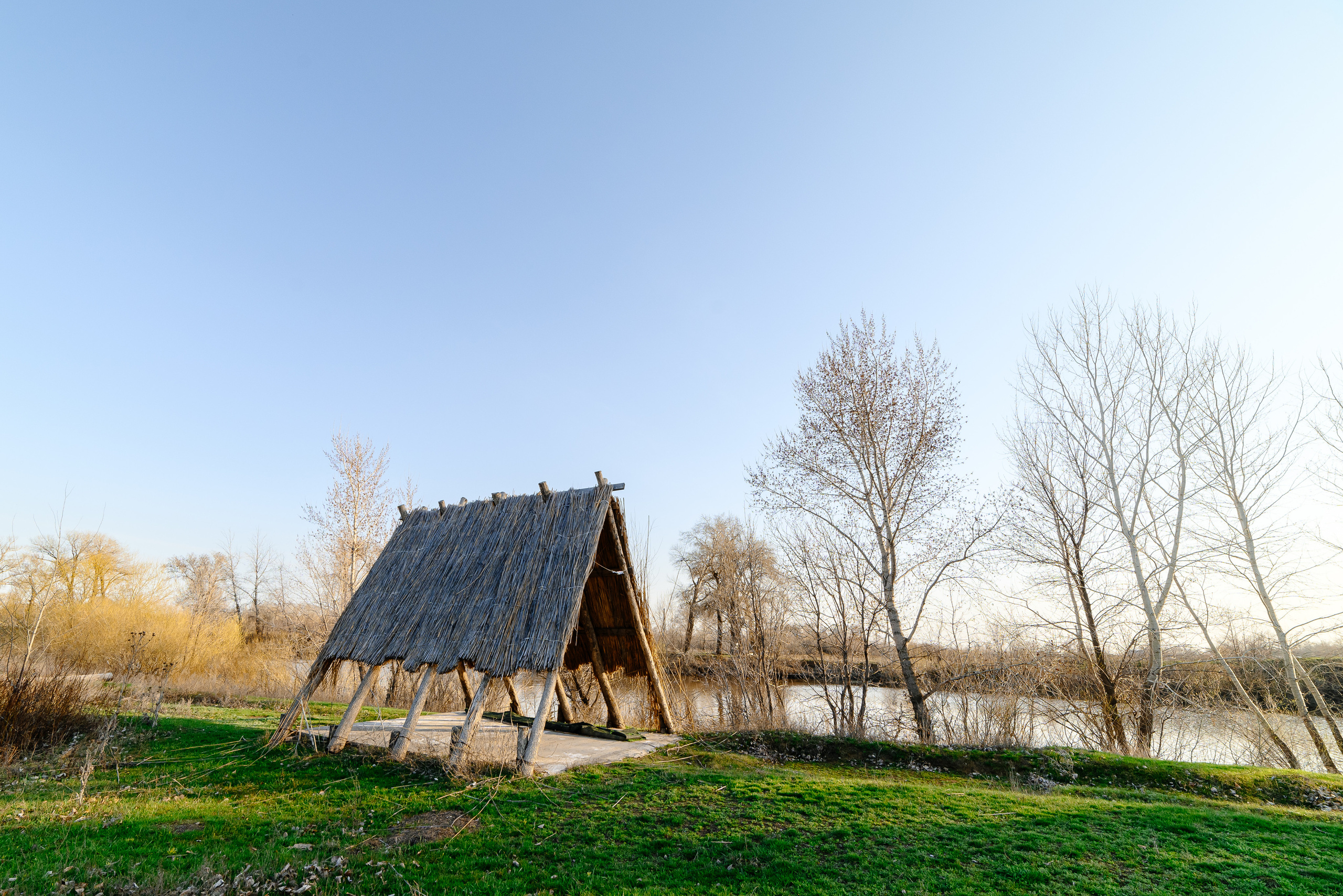 шалаш, дубрава