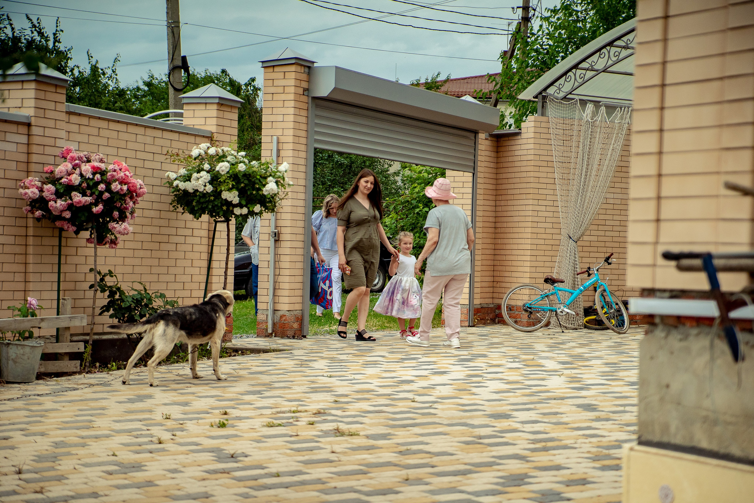 Милое торжество. Максим Матвийченко и Виктория Басова профессионалы своего дела