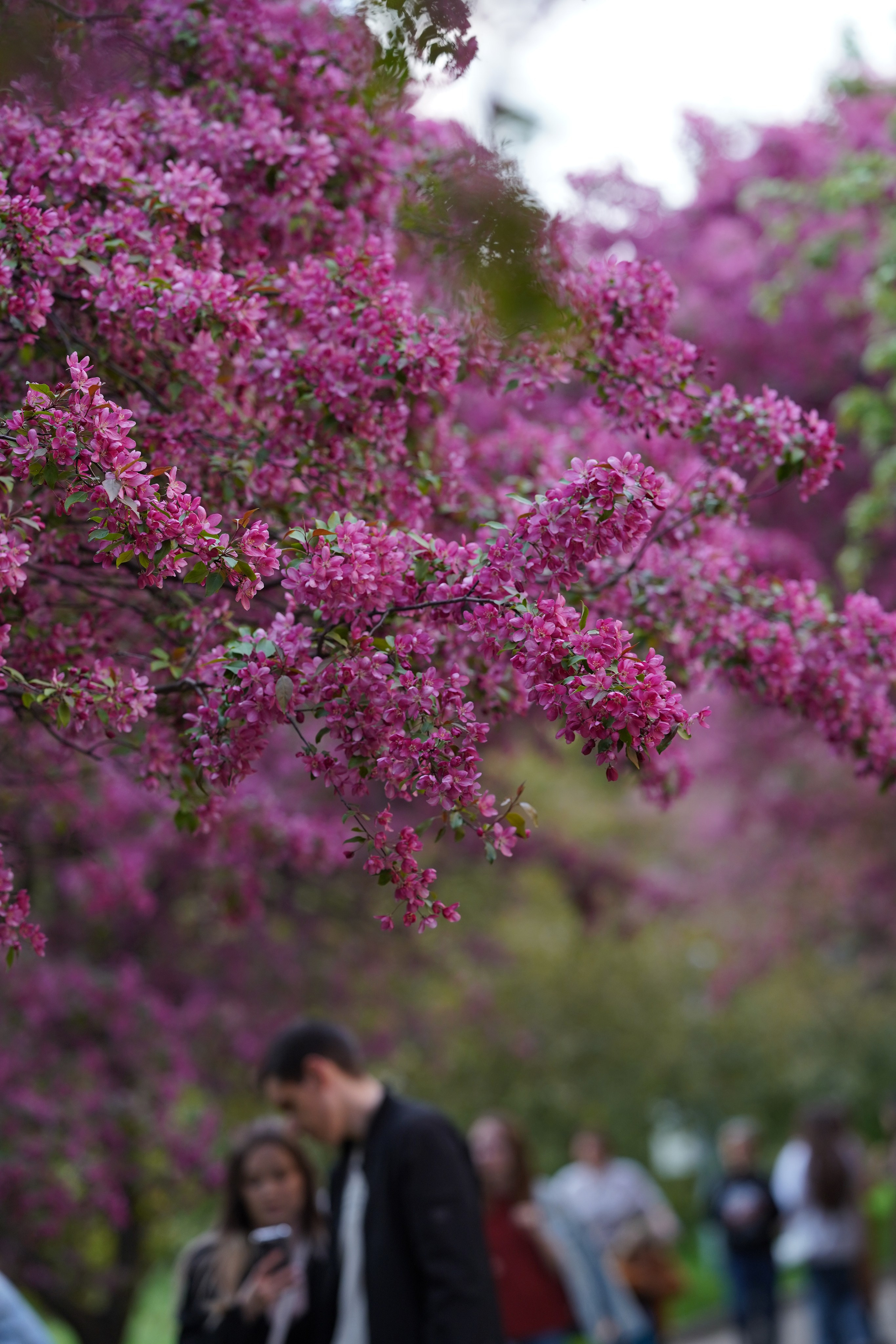 Весна. Фотограф в Москве Мария ~Zagagul~