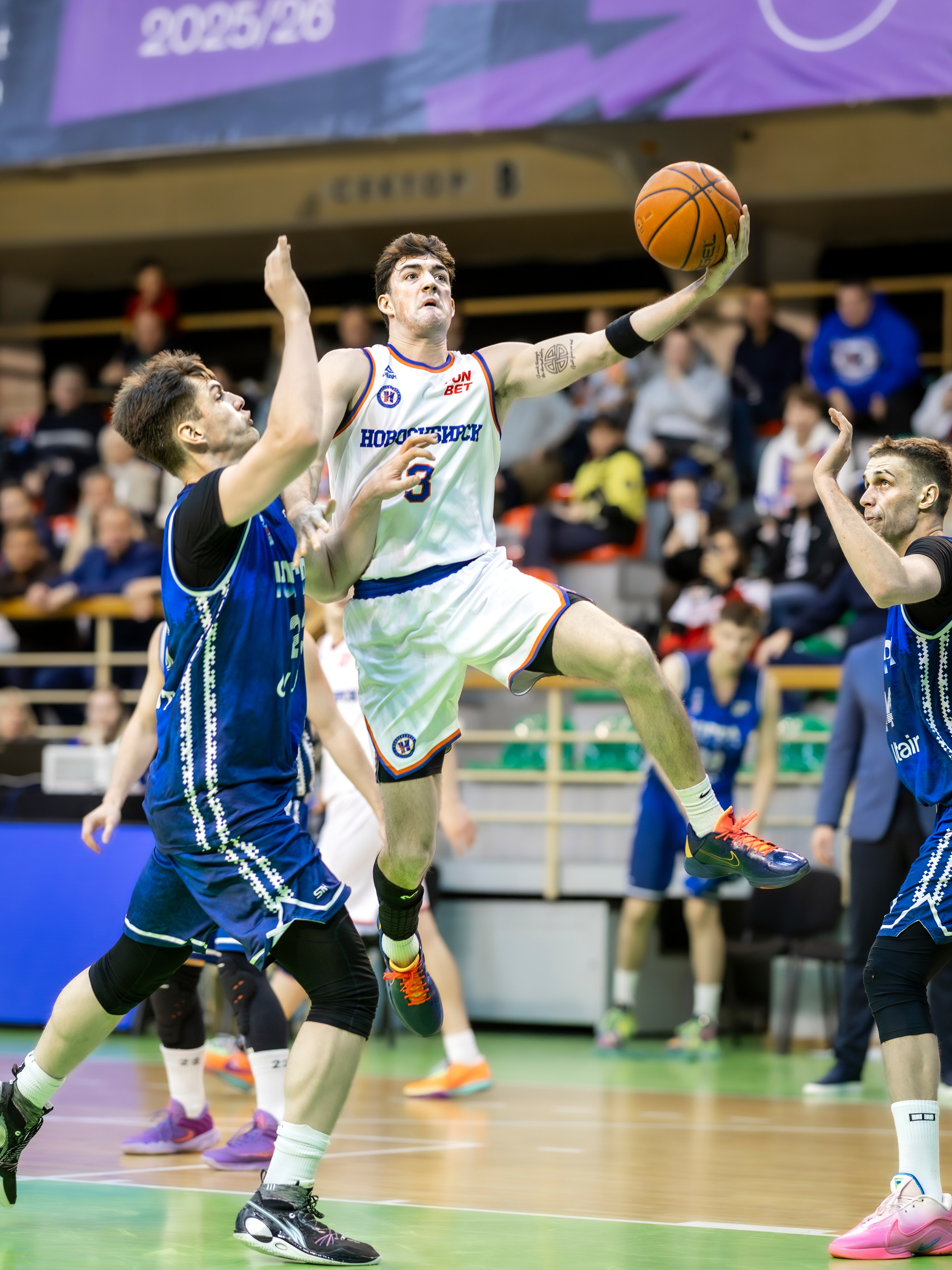 Баскетбол (БК Новосибирск) Сезон 2025-2026. Bertran Ordo