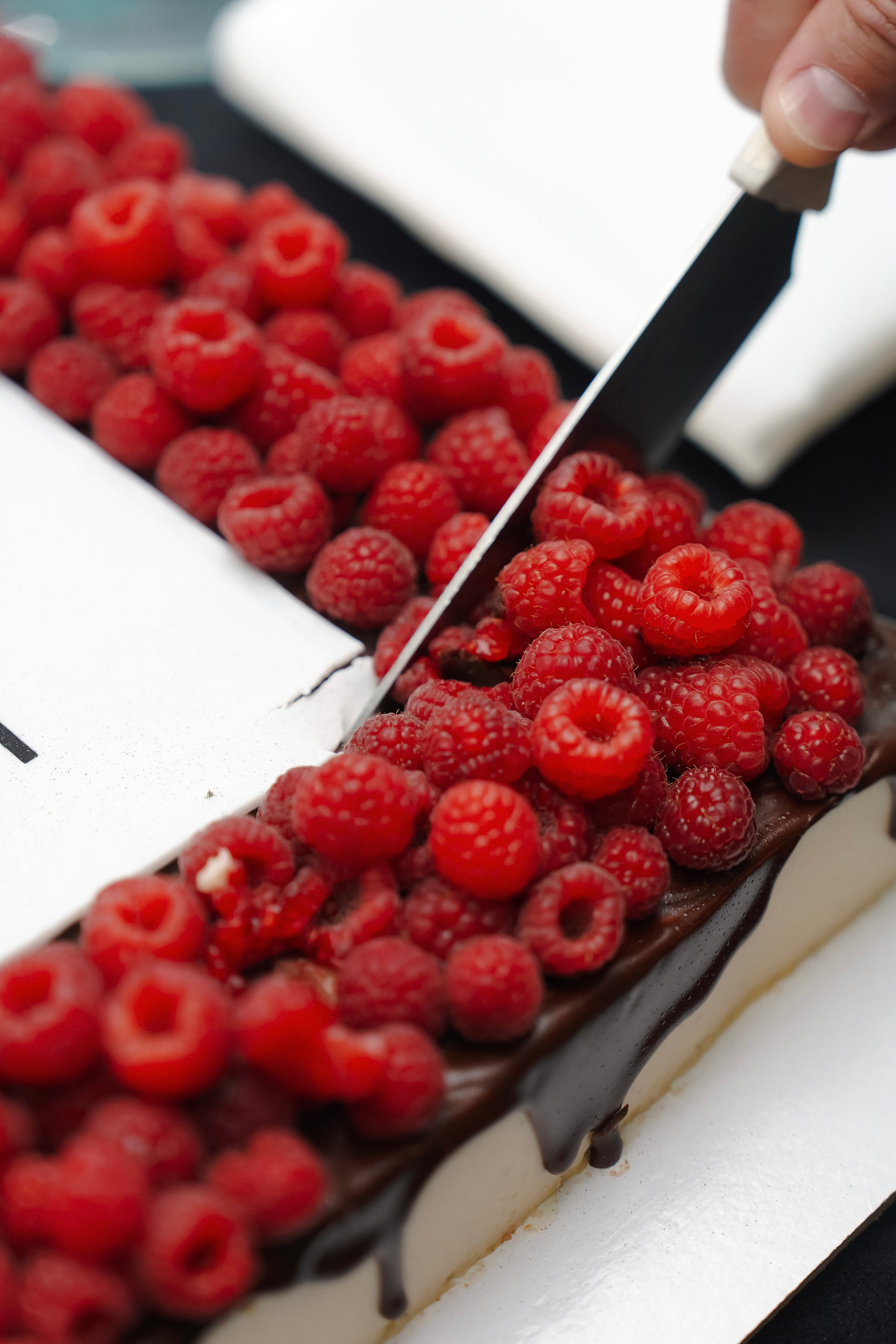 Открытие нового офиса ГК «Лендекс». Фотограф с психологическим образованием