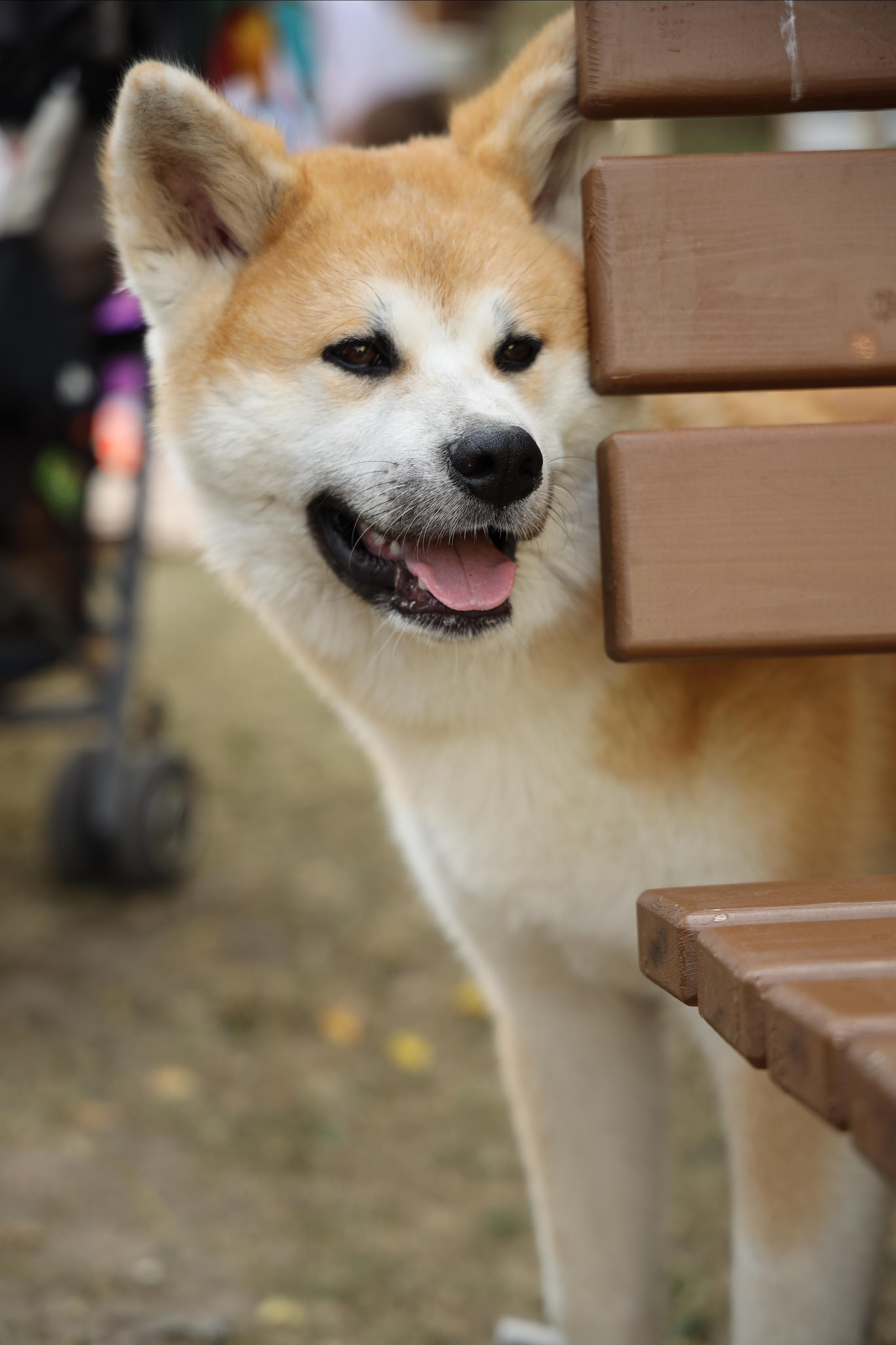 Друзья Маркет. Коммерческий фотограф в Москве Семенихина Дарья