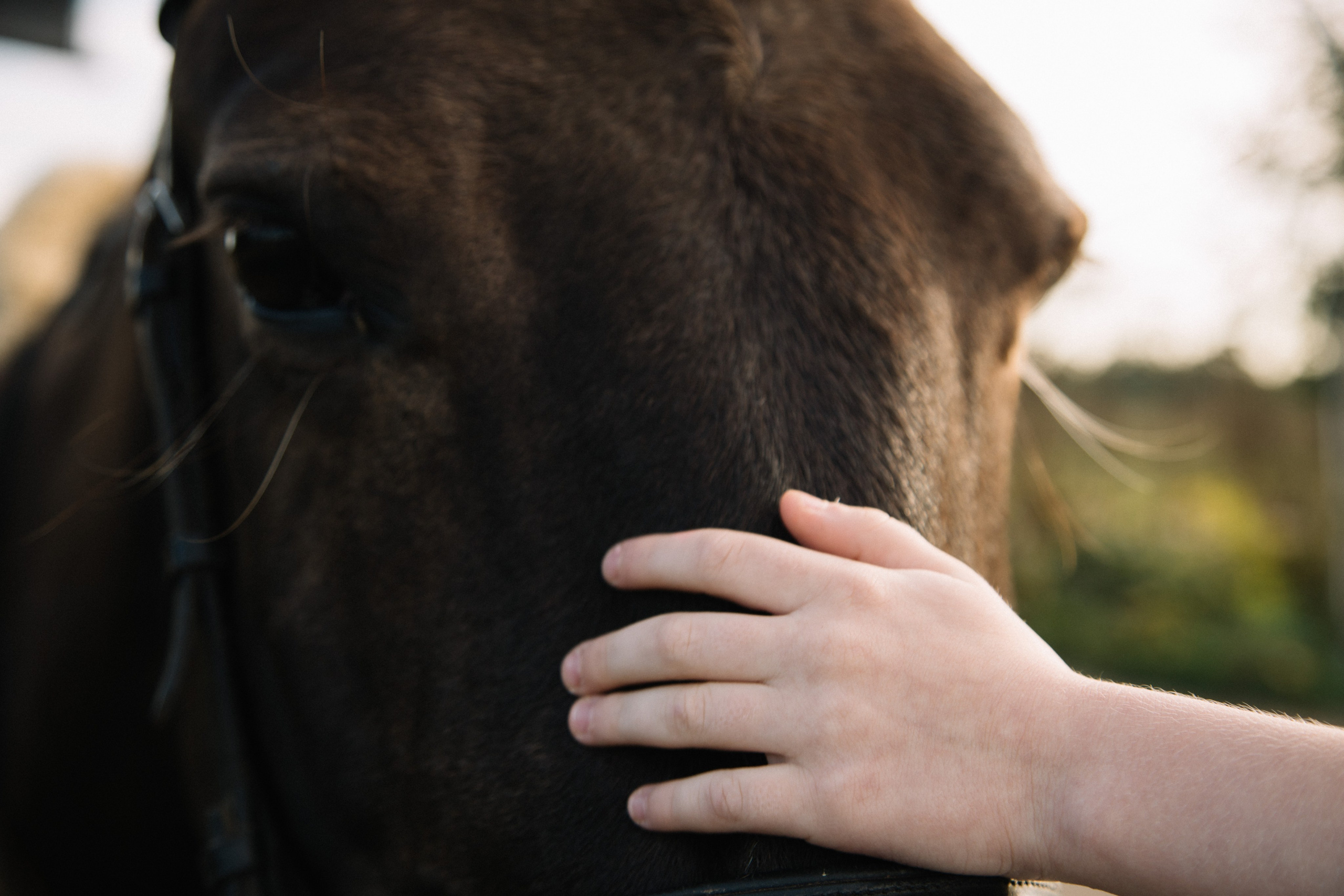 Семейные съемки. Фотограф и видеограф в Санкт-Петербурге Прохорова Надежда