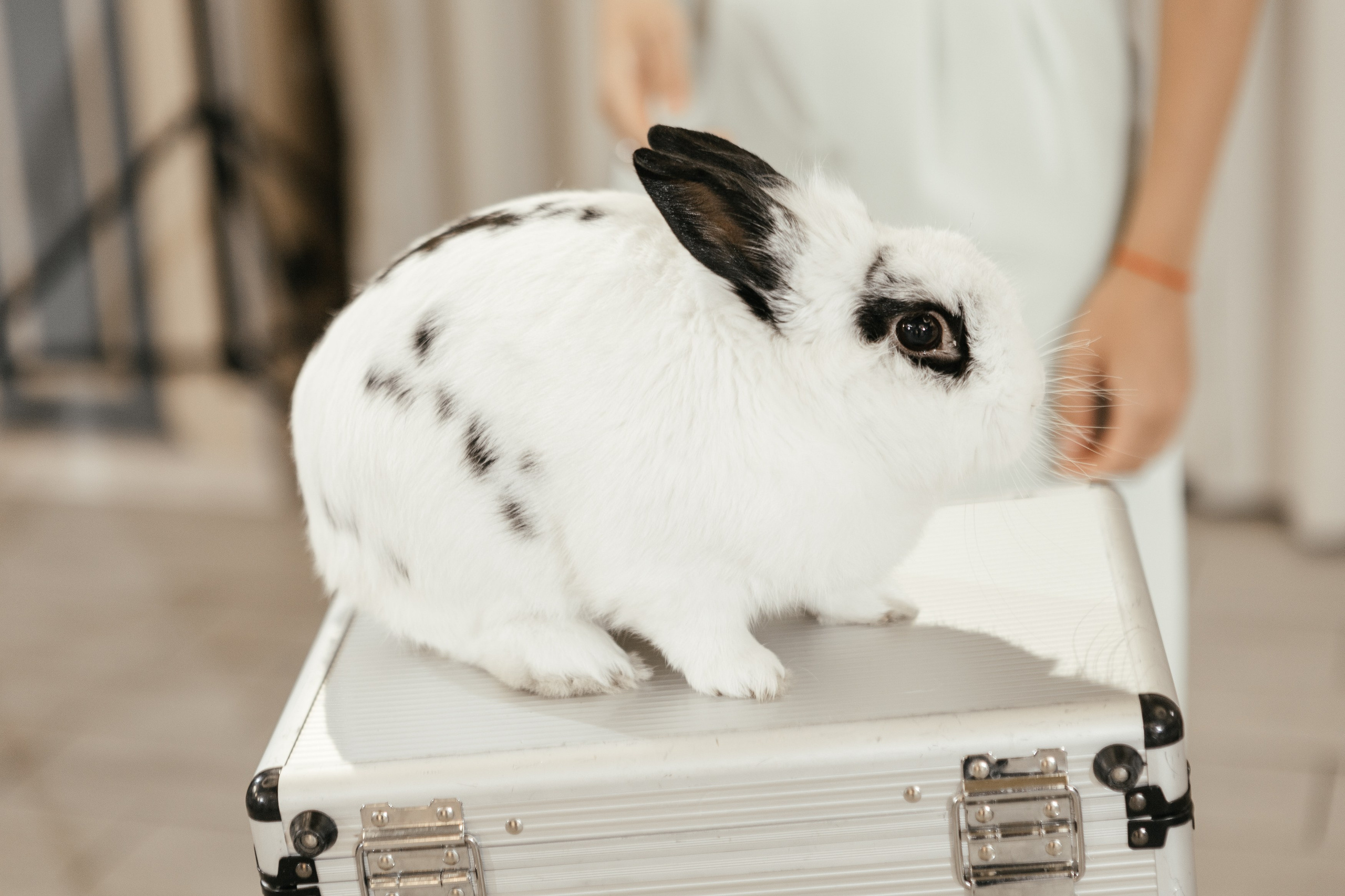 Свадебный фотограф Уфа — Руслан ГабдлисламовЖивые эмоции, красивые кадры, воспоминания на всю жизнь.Работаю по всей Республике Башкортоста. Свадебный фотограф Уфа Руслан Габдлисламов