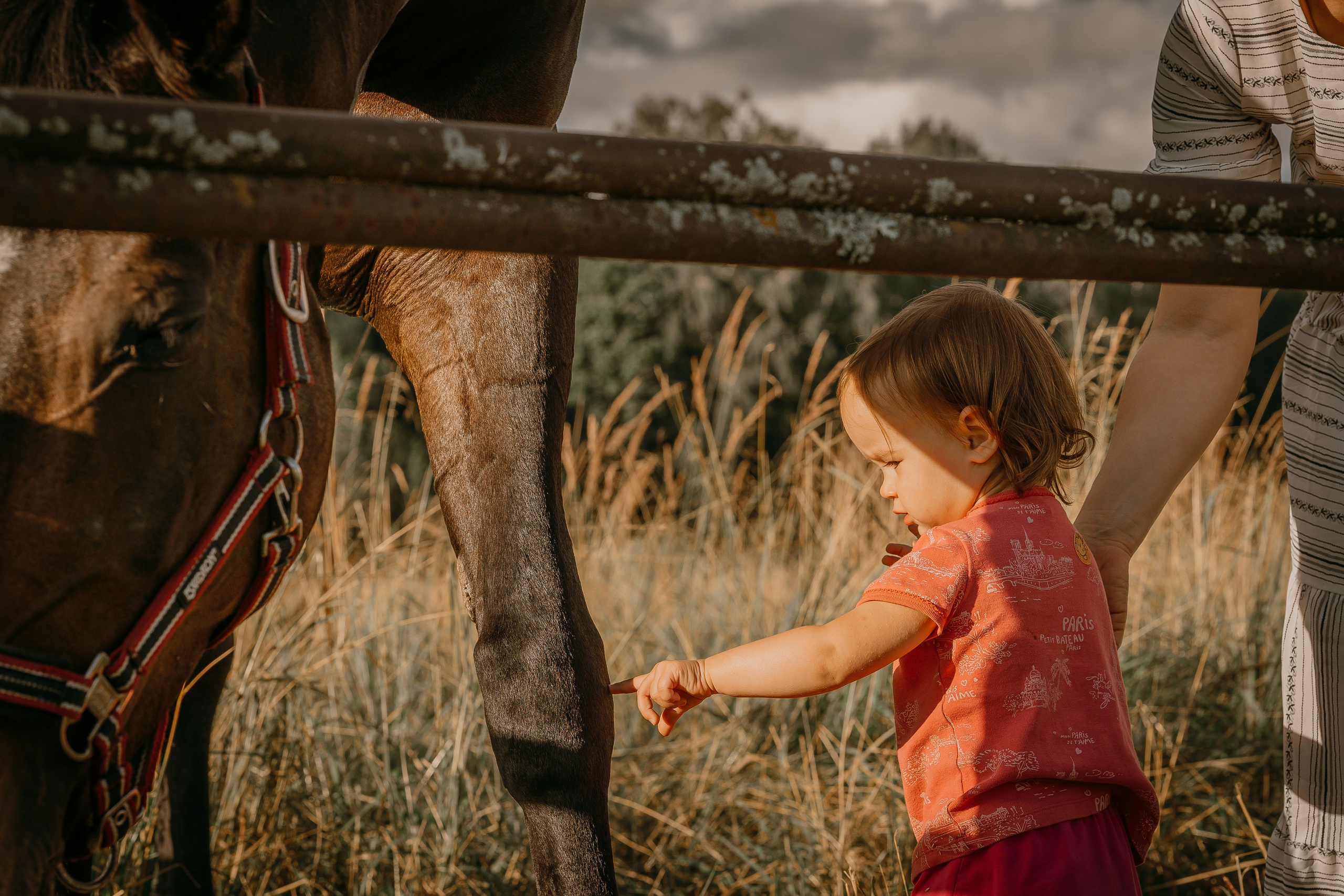 Прогулки. Юлия Строганова. Фотограф. Москва