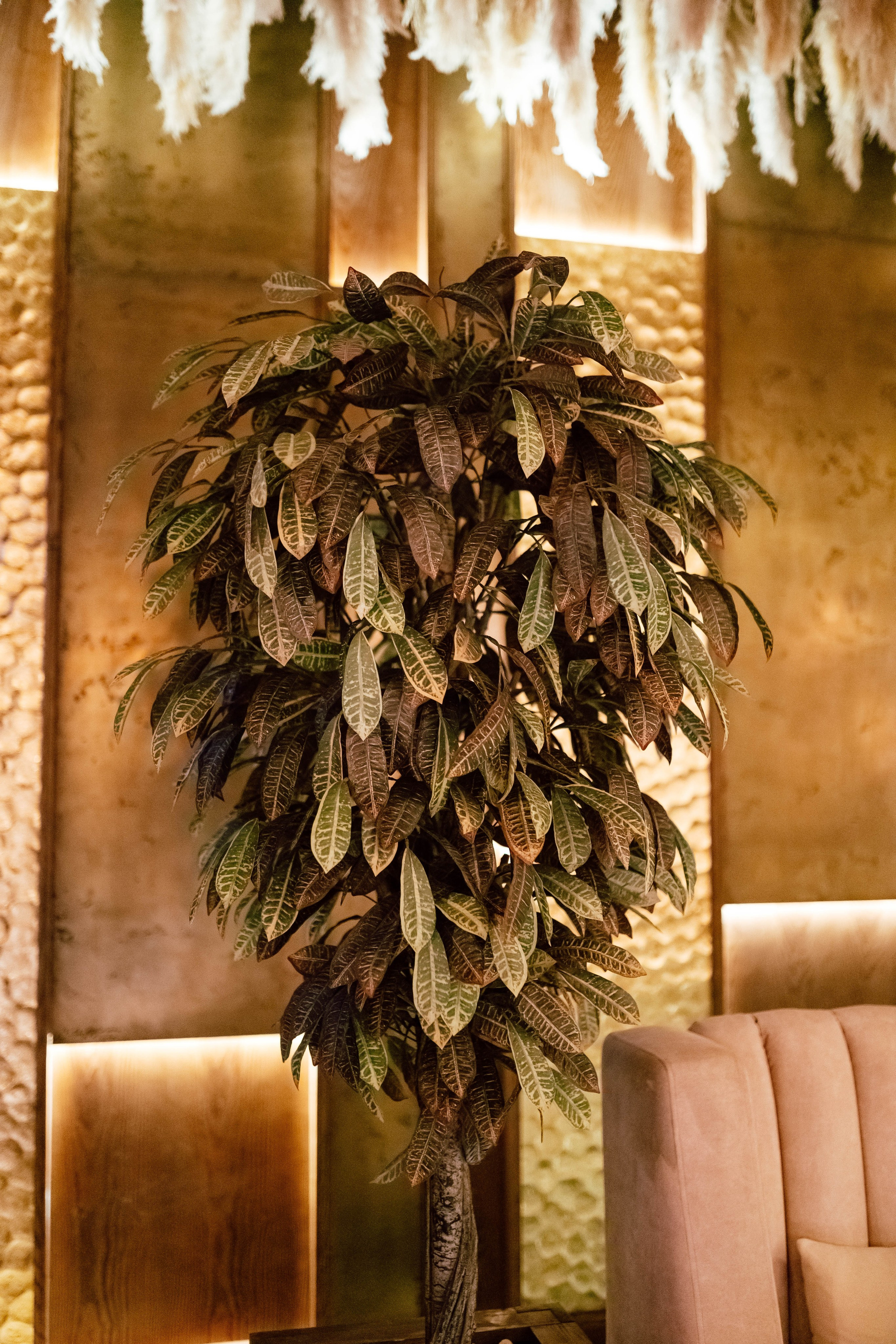 Mono restaurant. Свадебный фотограф в Нальчике Алим Джаппуев