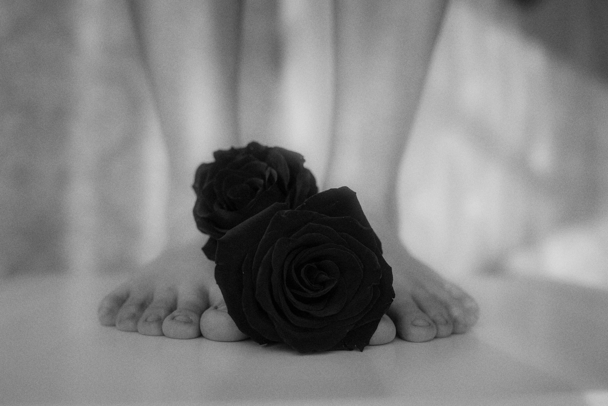 SHE. Фотограф в Тимашевске и Краснодарском крае -  Ксения Заводчикова