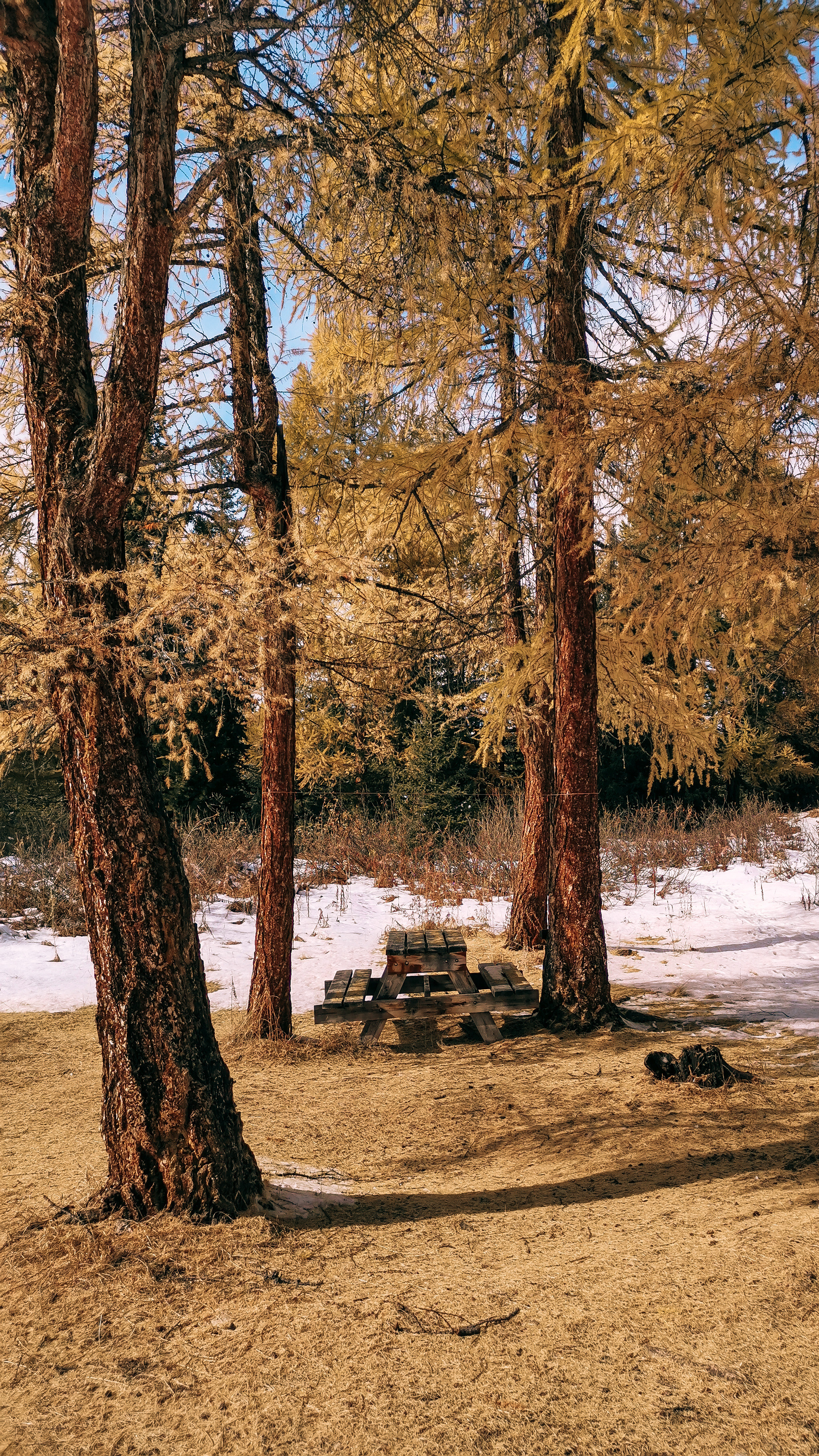 Алтай 2021. Человек с фотокамерой