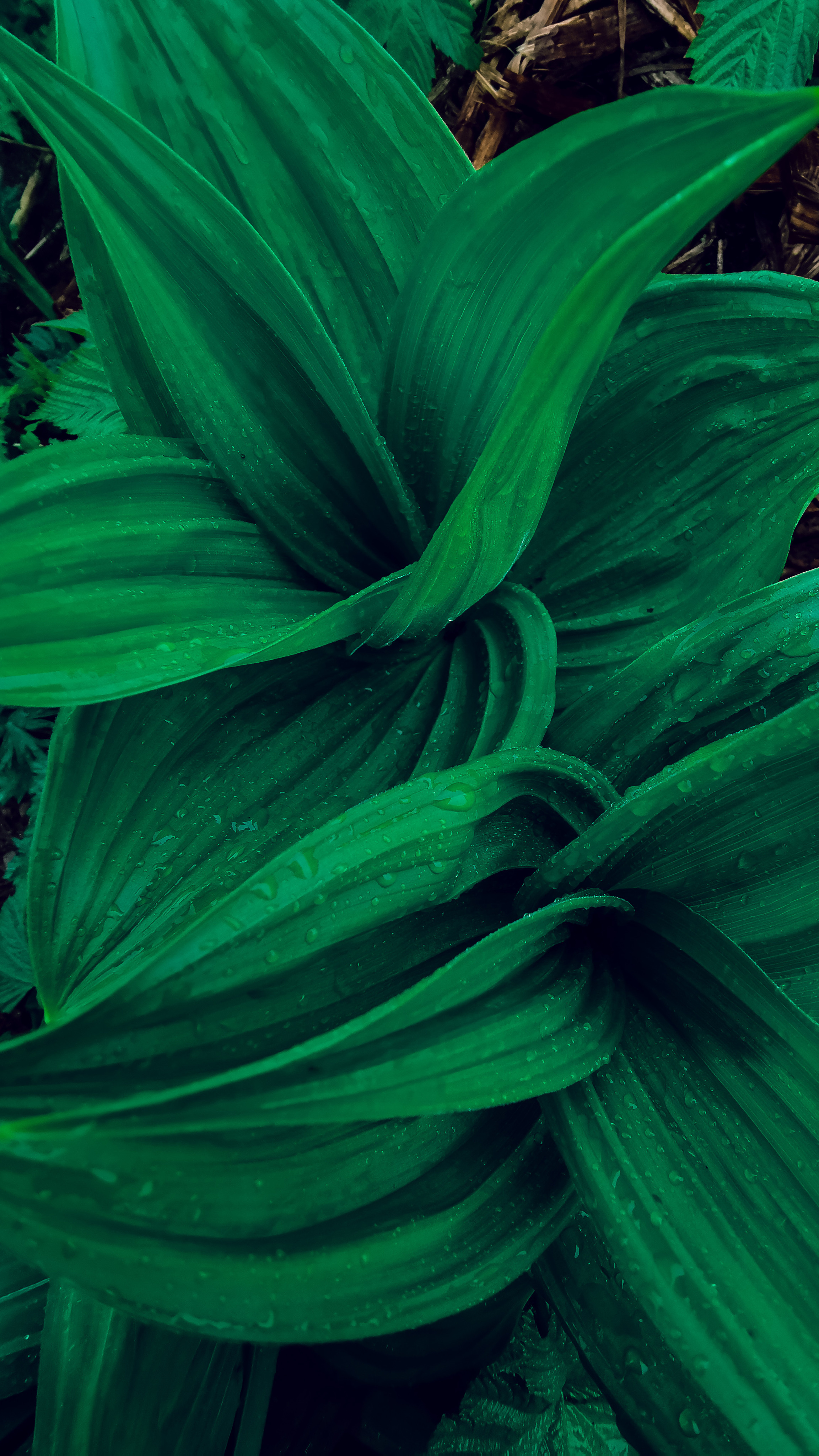 Северные Курилы 2022. Человек с фотокамерой