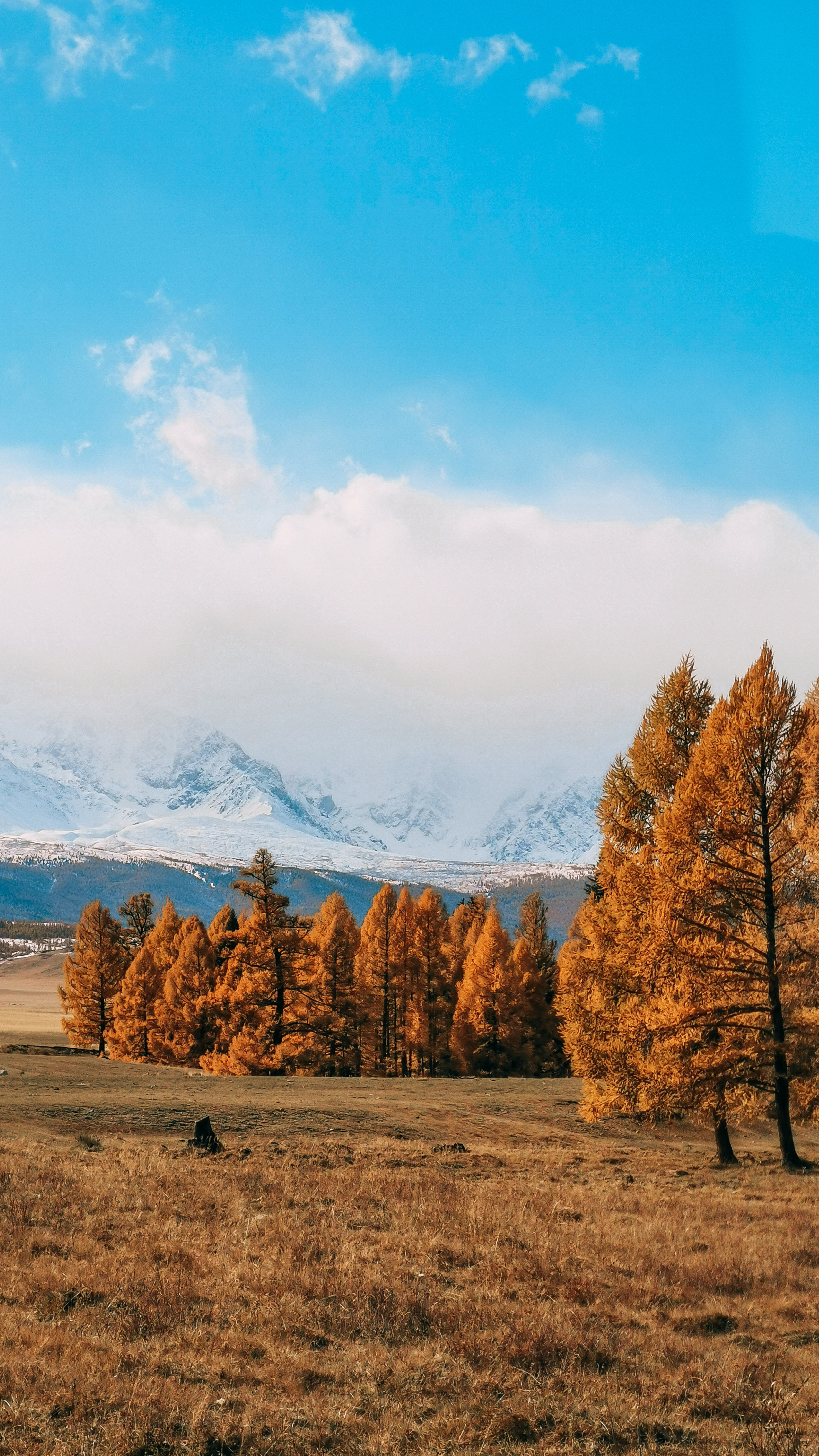 Алтай 2021. Человек с фотокамерой