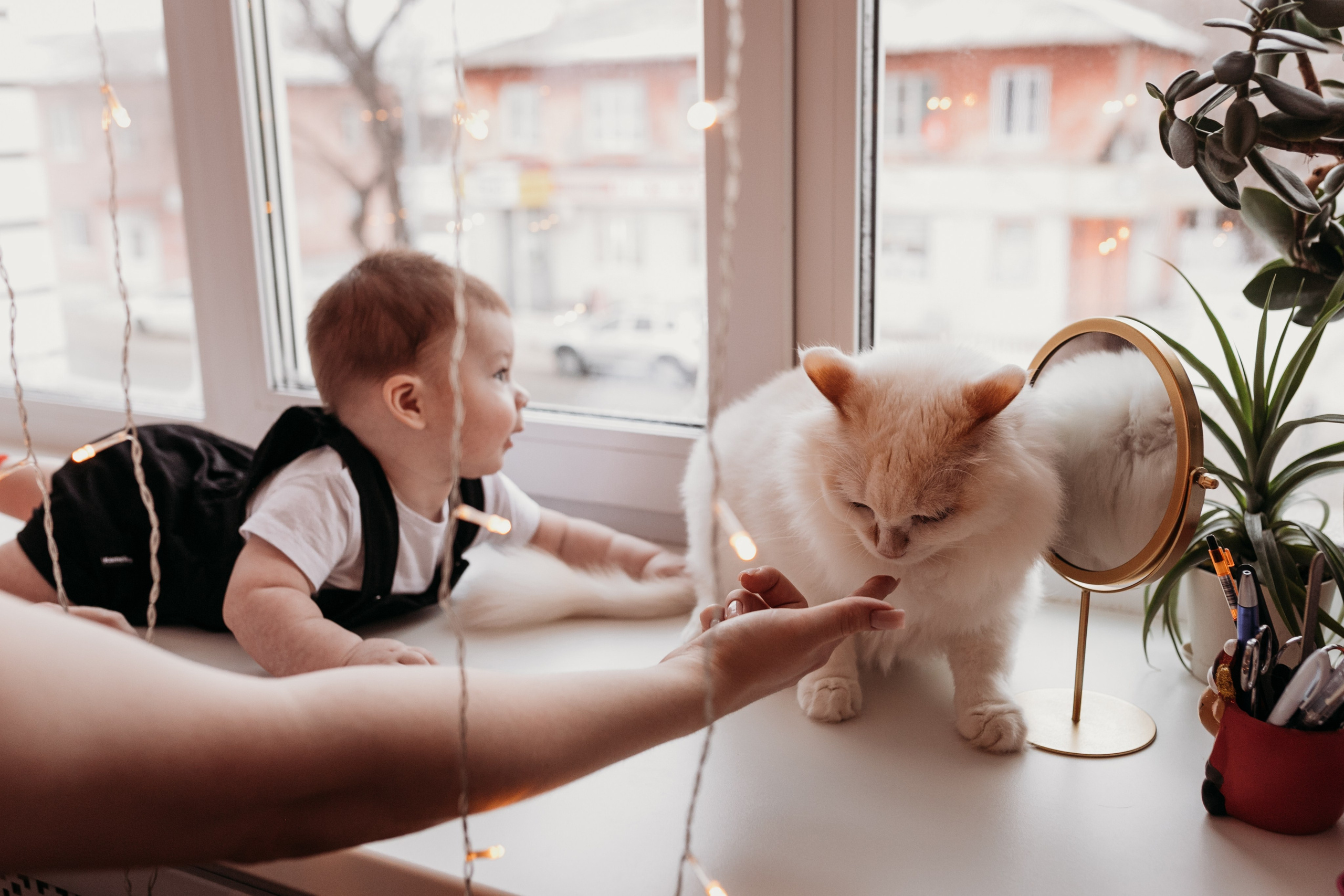 домашняя фотосессия барнаул, домашняя новогодняя фотосессия барнаул, домашний фотограф барнаул, новый год