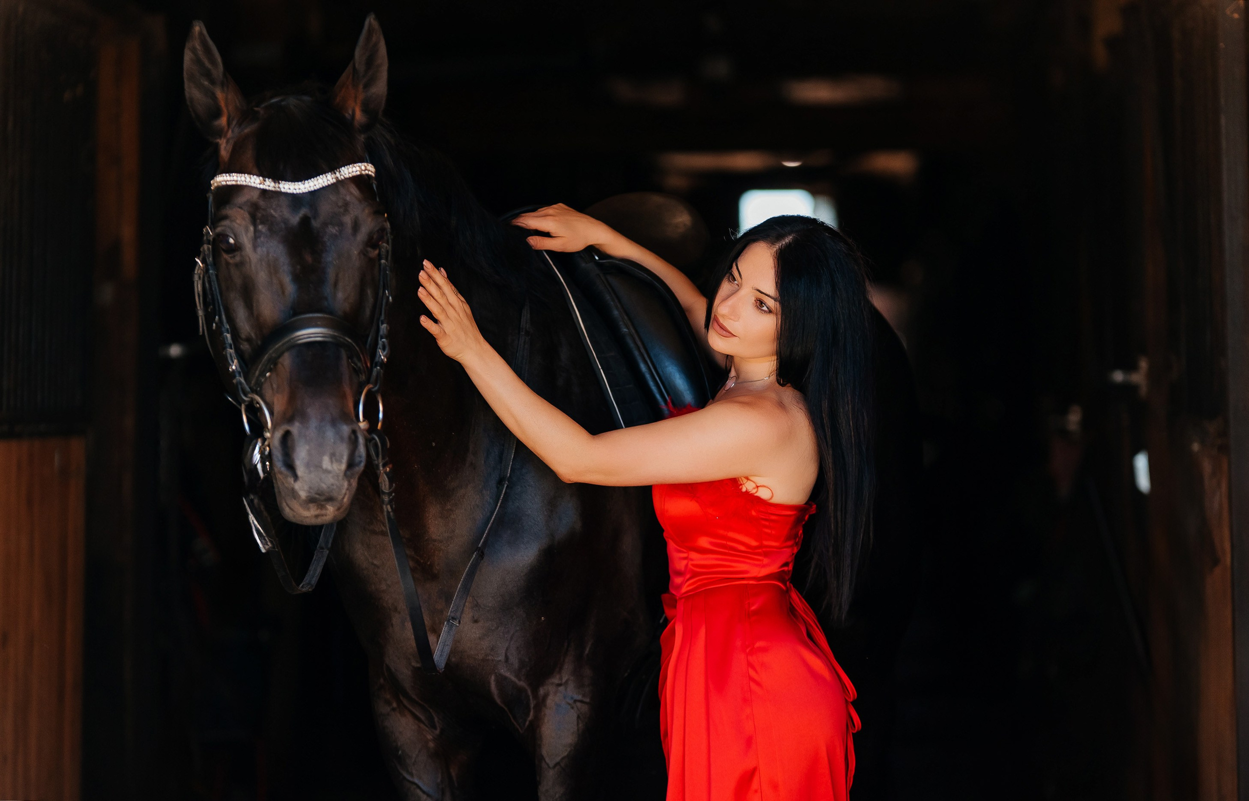 Фотосессии с лошадьми. Фотограф Рязань