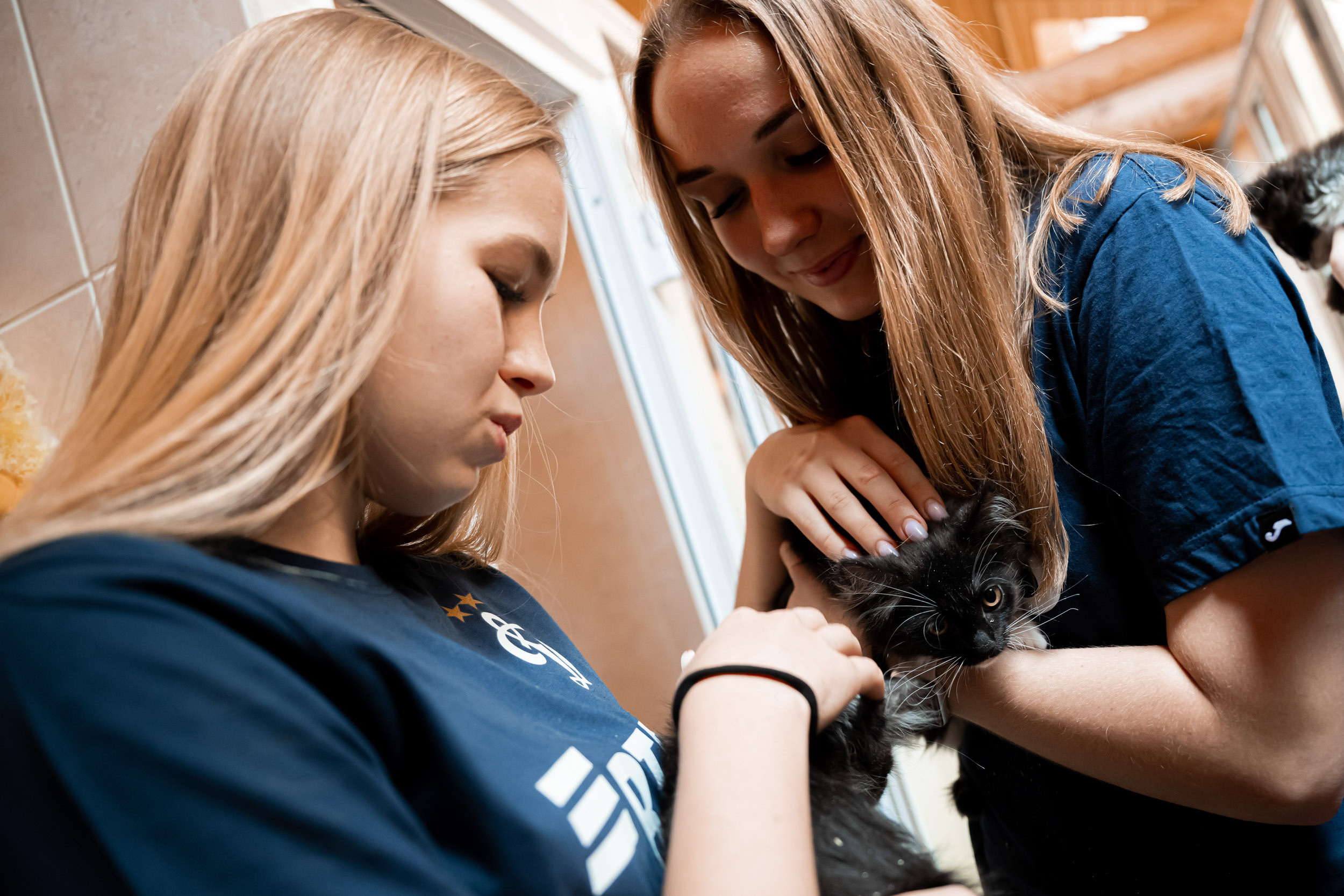 Dynamo women’s football team’s trip to the homeless animal shelter, 06/15/2023. Фотограф Кирилл Сафонов