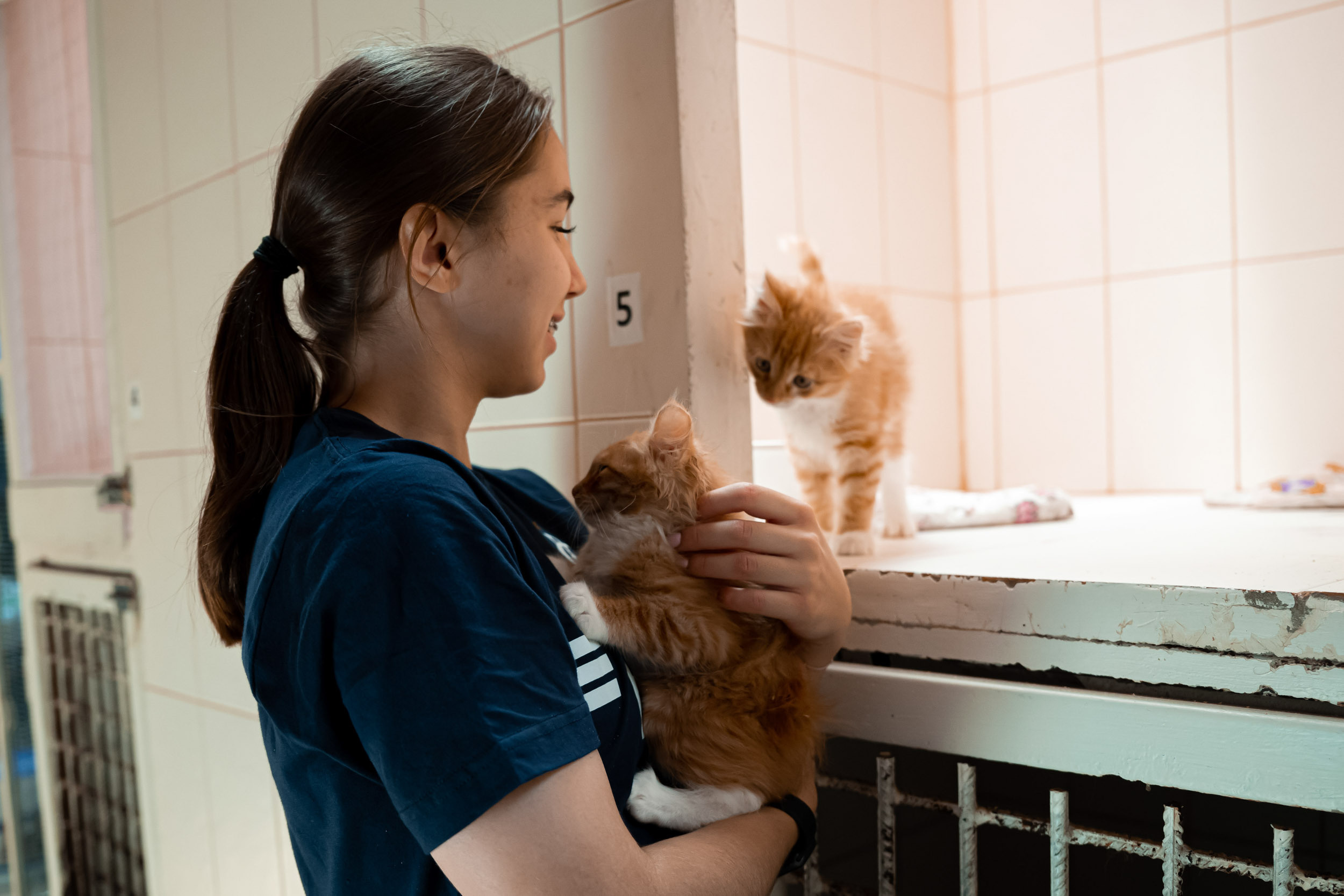 Dynamo women’s football team’s trip to the homeless animal shelter, 06/15/2023. Фотограф Кирилл Сафонов