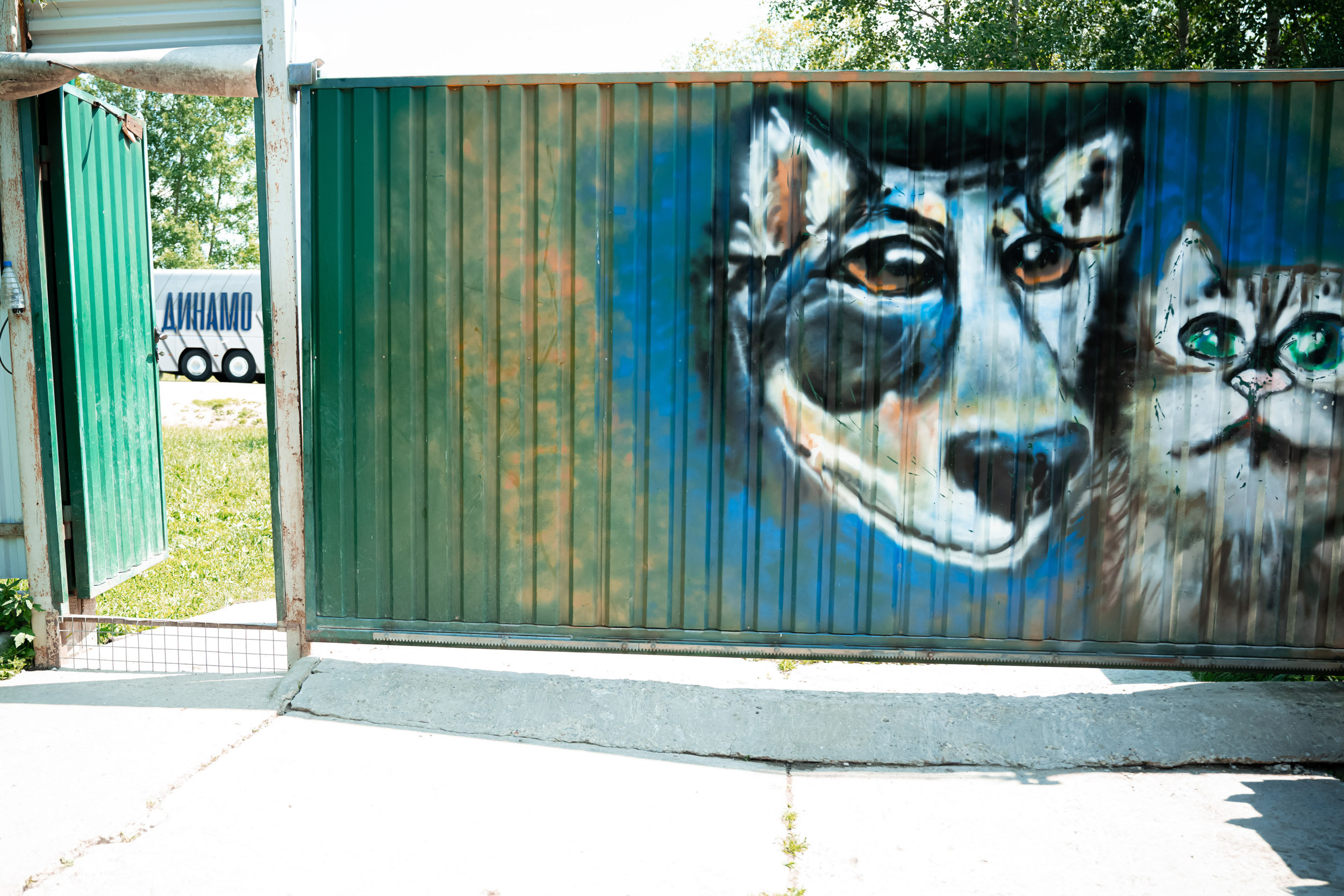 Dynamo women’s football team’s trip to the homeless animal shelter, 06/15/2023. Фотограф Кирилл Сафонов