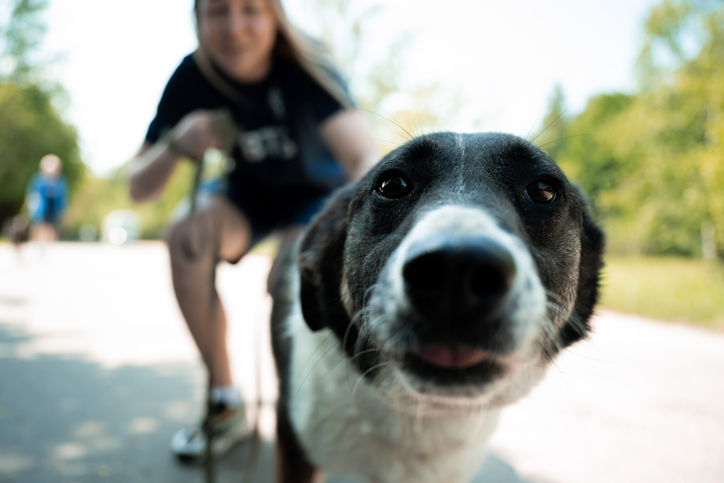 Dynamo women’s football team’s trip to the homeless animal shelter, 06/15/2023. Фотограф Кирилл Сафонов