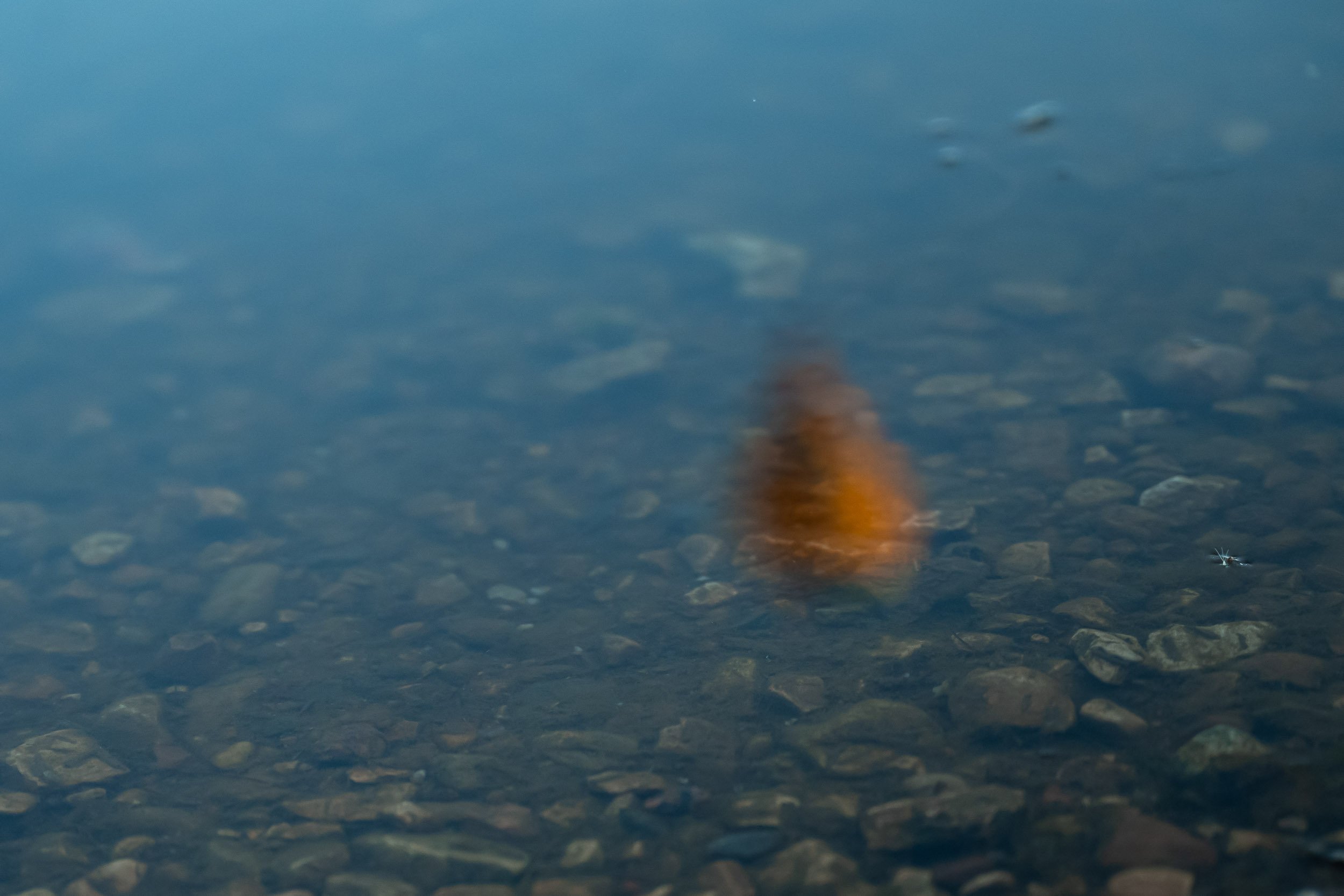 International Aeronautics Meeting in Velikiye Luki, June 2023. Фотограф Кирилл Сафонов