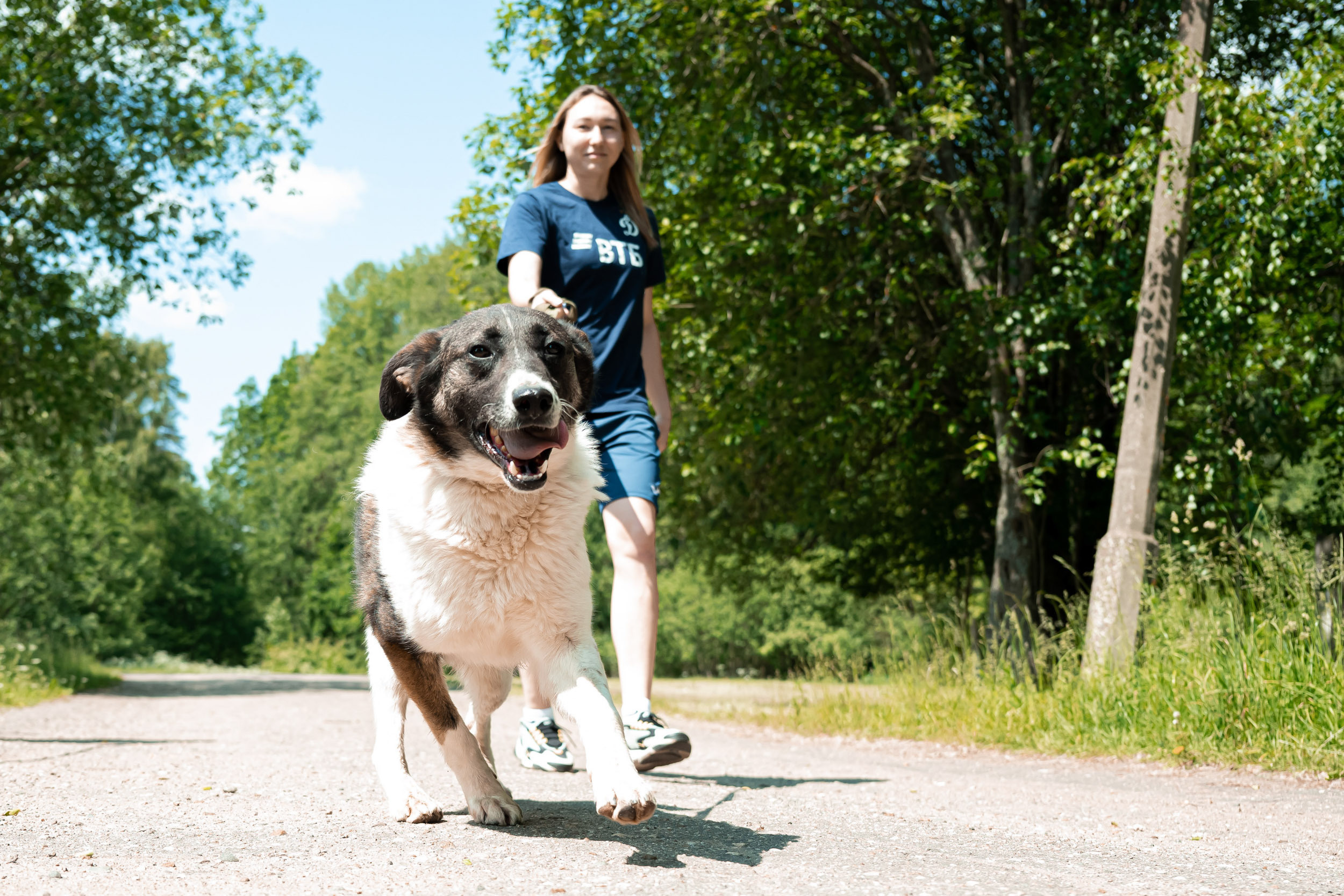 Dynamo women’s football team’s trip to the homeless animal shelter, 06/15/2023. Фотограф Кирилл Сафонов