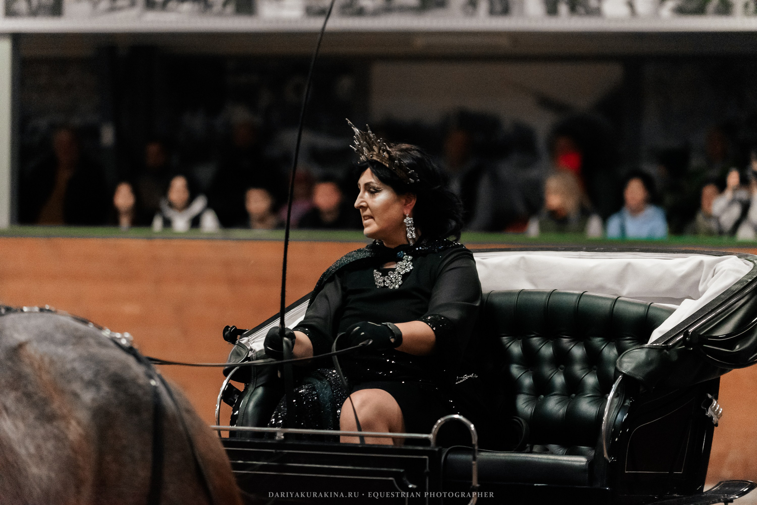 Конное представление «Дыхание Звёзд». Конный фотограф Куракина Дарья • Фотосессии с лошадьми