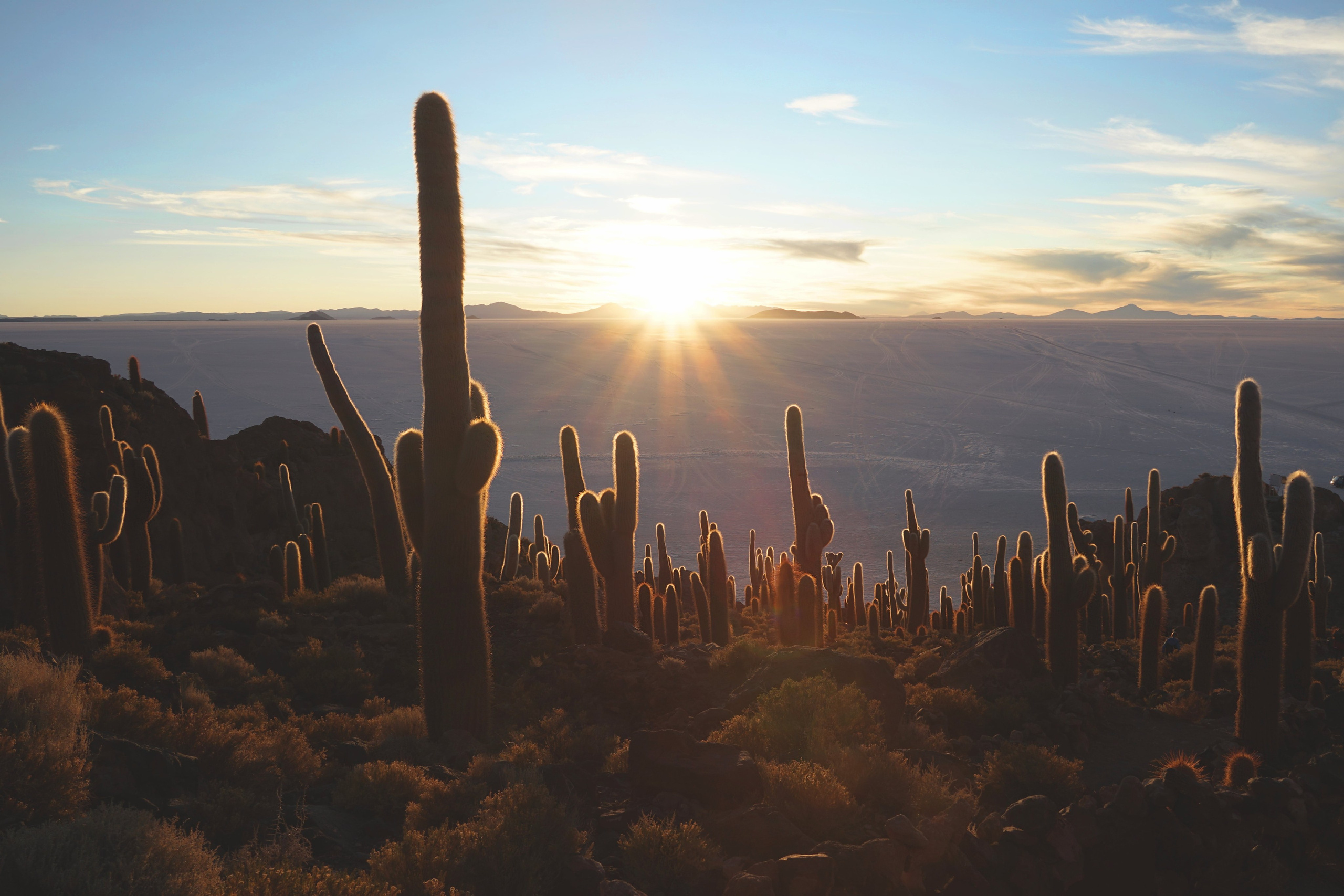 LANDSCAPE ландшафт. Семейный и детский фотограф в Буэнос-Айресе Перевозчикова Анна Fotógrafa de familia y niños en Buenos Aires Perevozchikova Anna