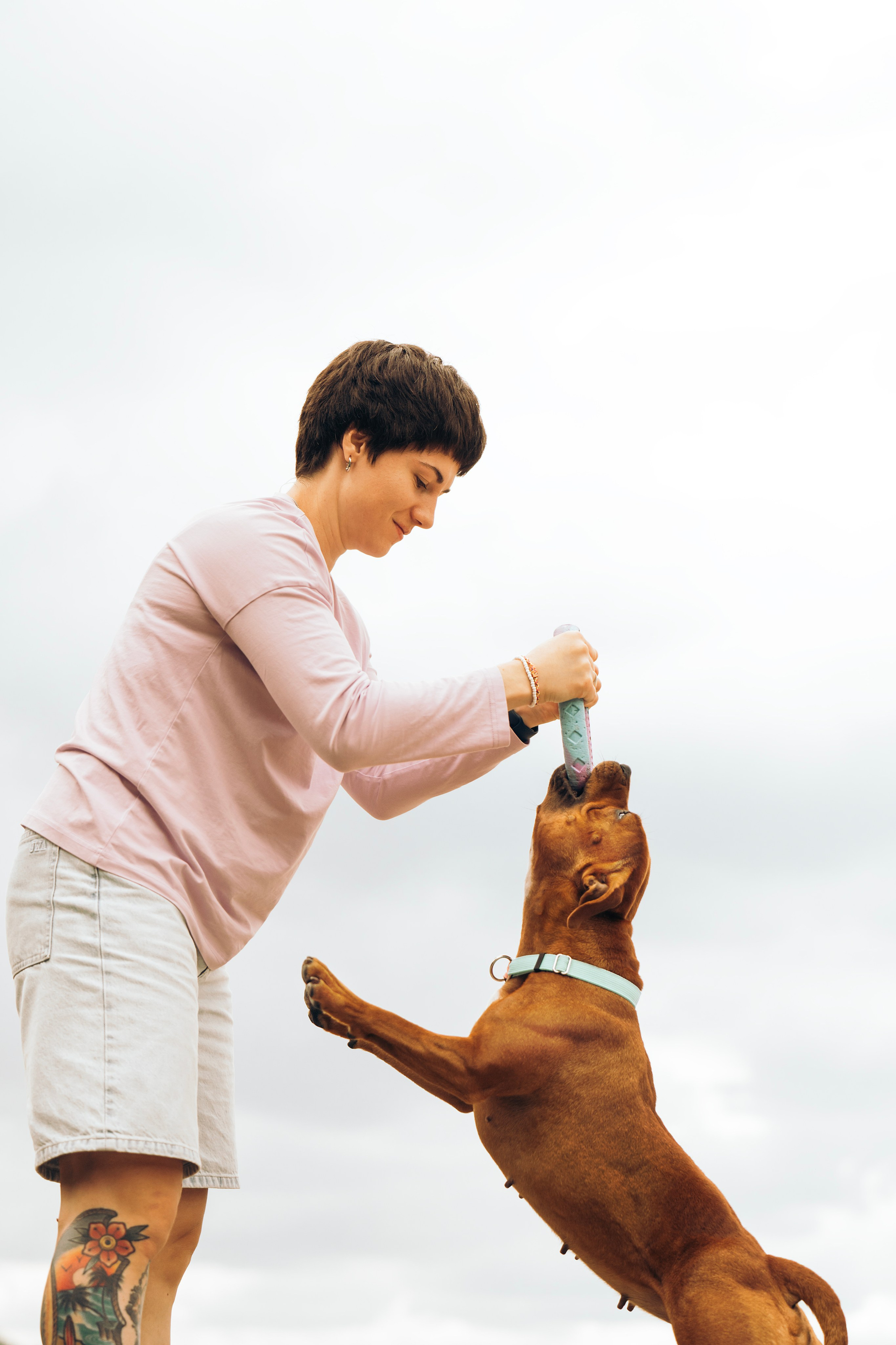 Соня. Фотограф- анималист Александра Матвеева