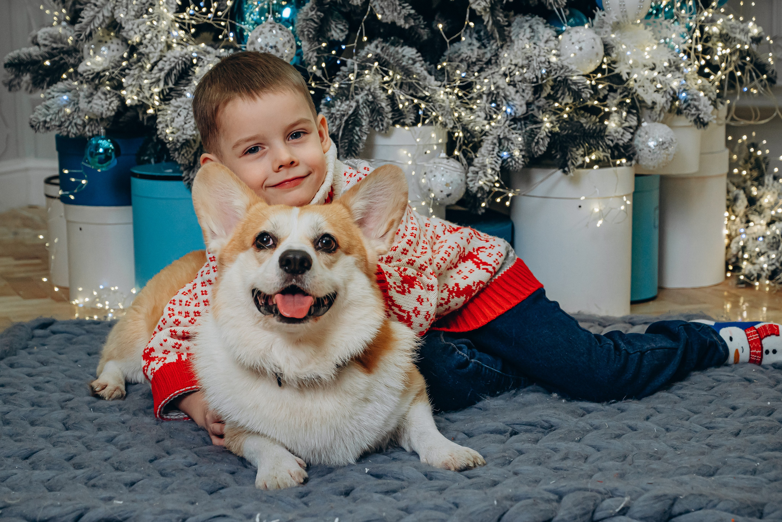 Новый год с корги