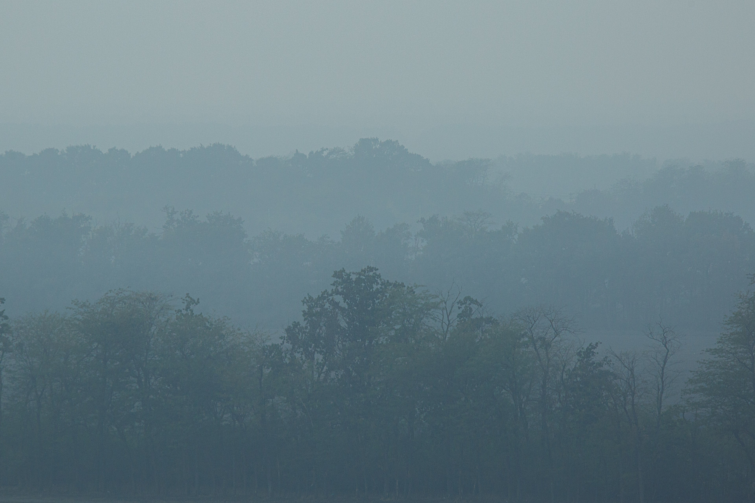 Проект «366»|2024|Фото каждый день. LENA GRACE photographer ||ЛЕНА ГРЭЙС фотограф