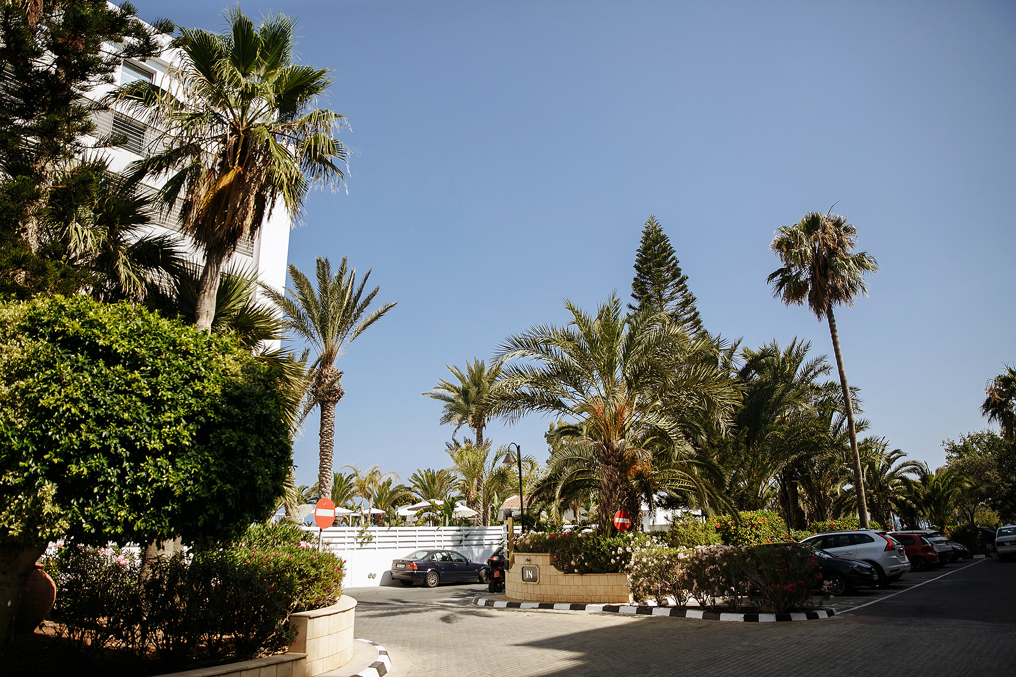 Илона и Николас. Кипр. Свадебный фотограф в Нижнем Новгороде и Москве Кожин Роман