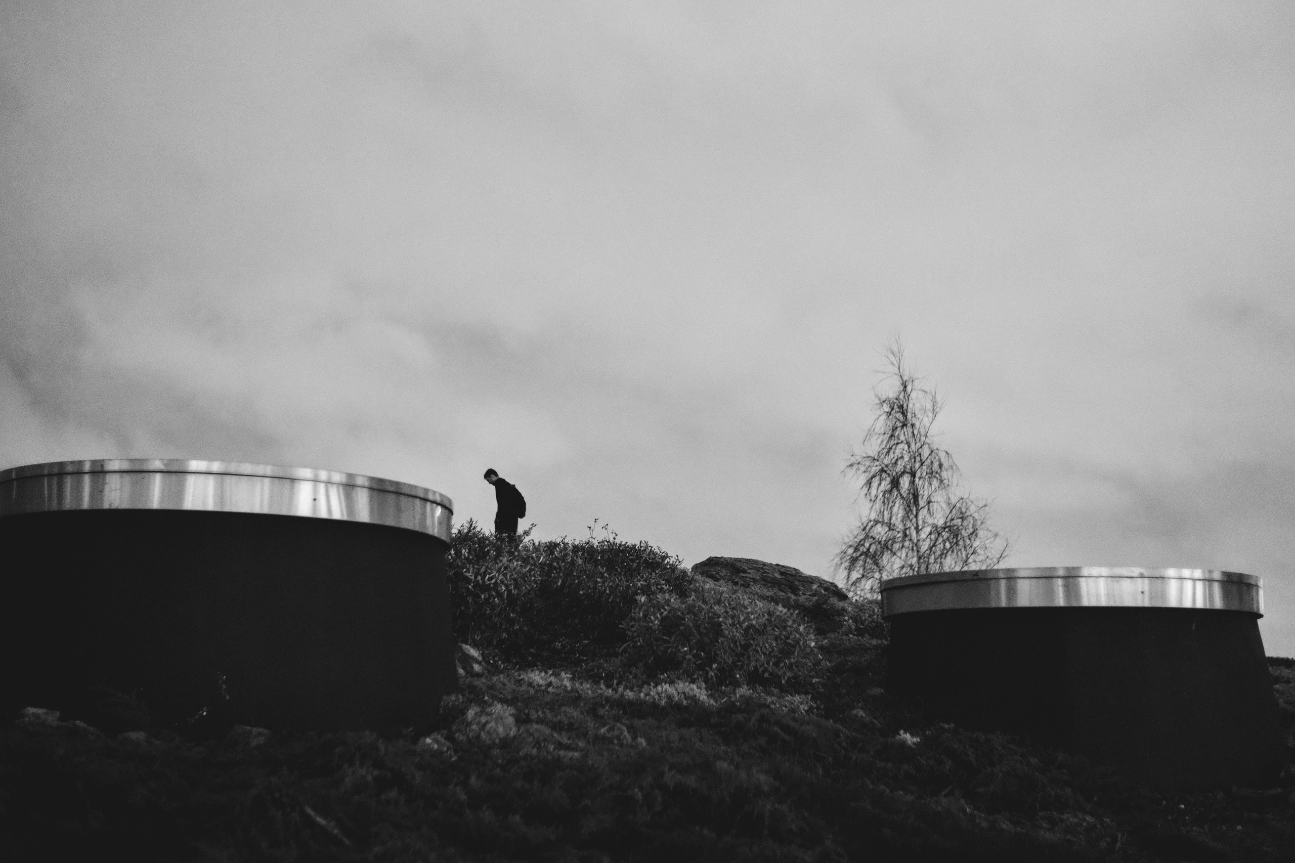 Силуэт человека и дерева на фоне пасмурного неба в парке Зарядье