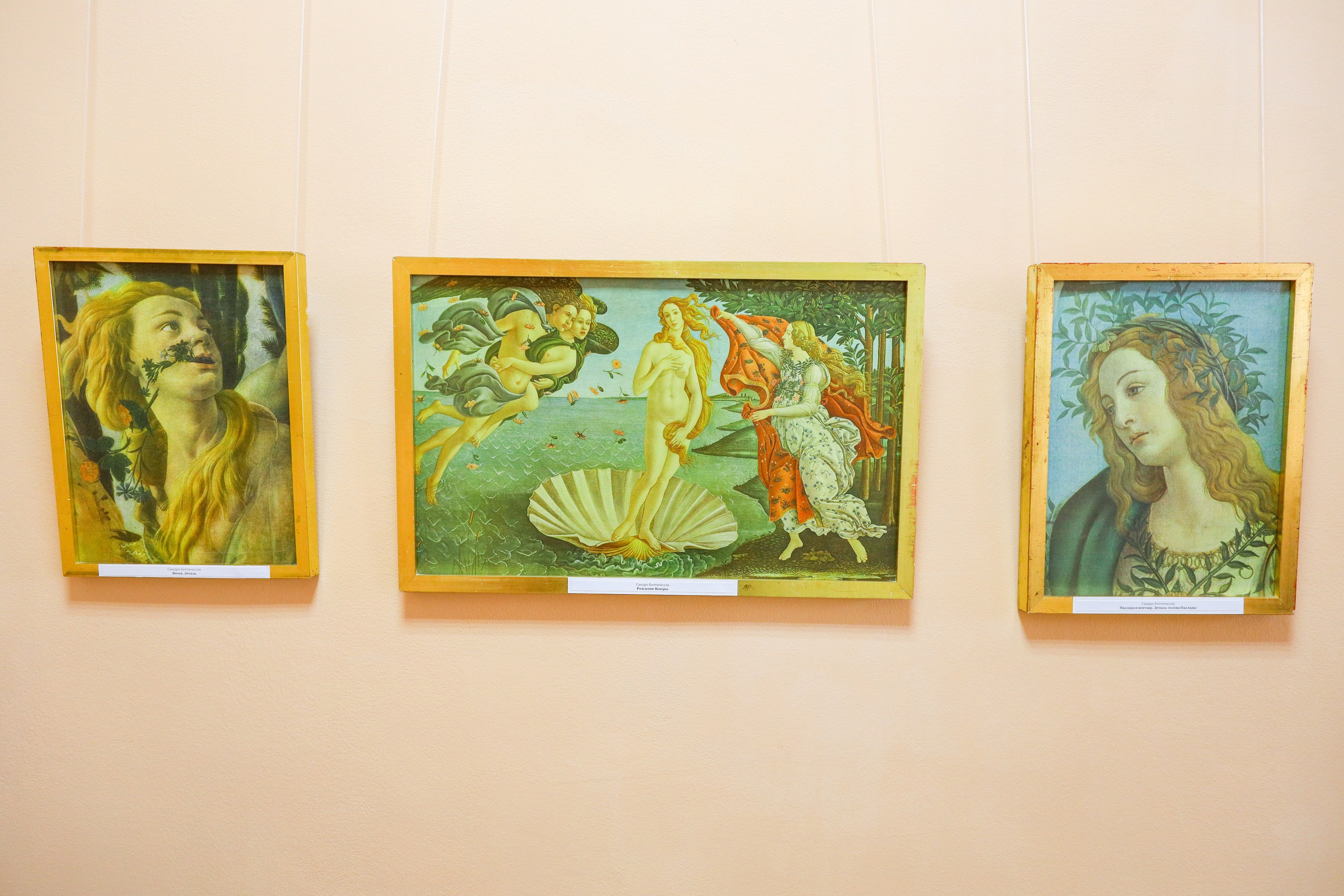 Поездка в Белев и на производство пастилы. Фотограф в Туле Крупский АнДРей. Фотостудия «КАДР71» в Туле