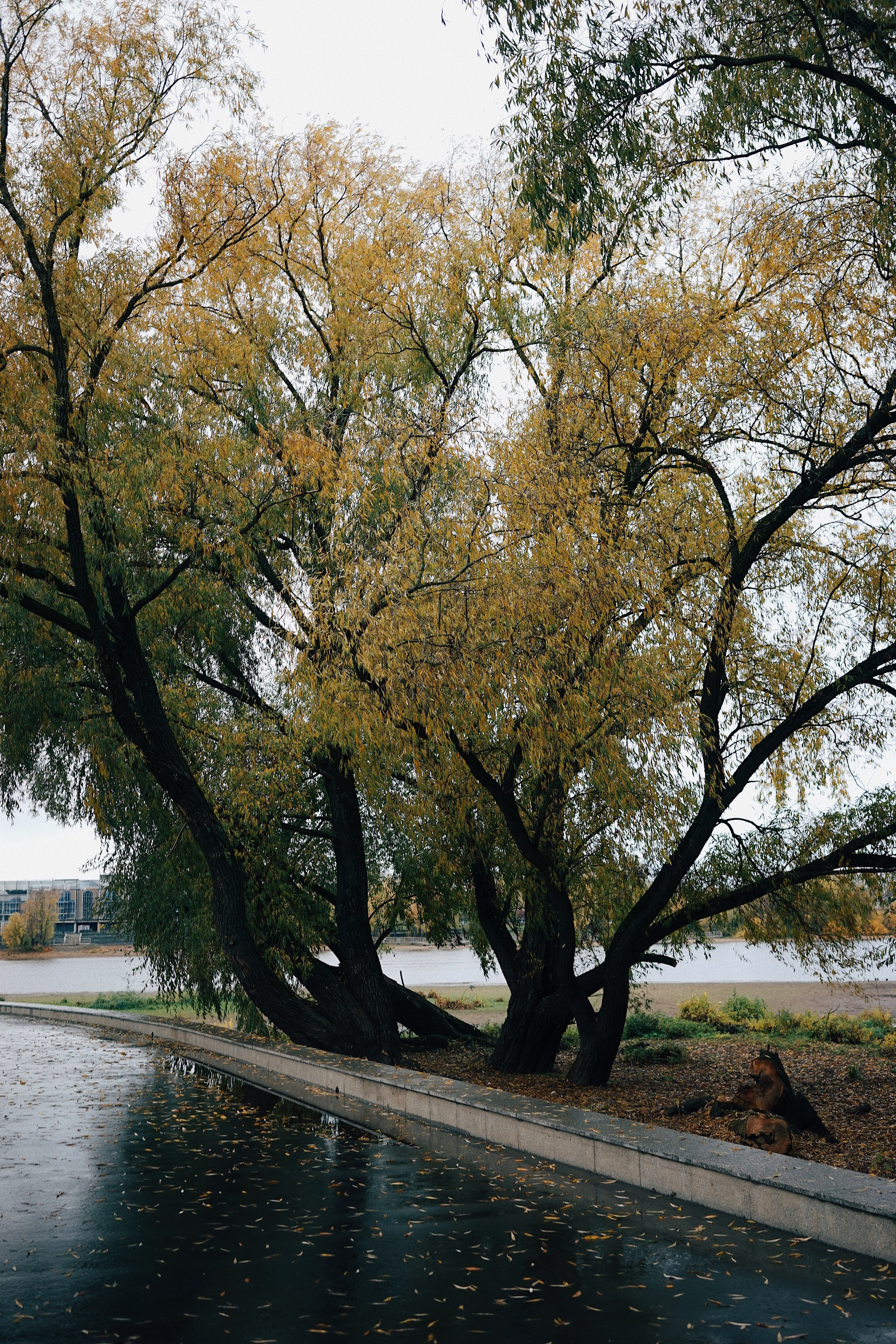 Street. Ксения Копна. Фотограф из Санкт-Петербурга