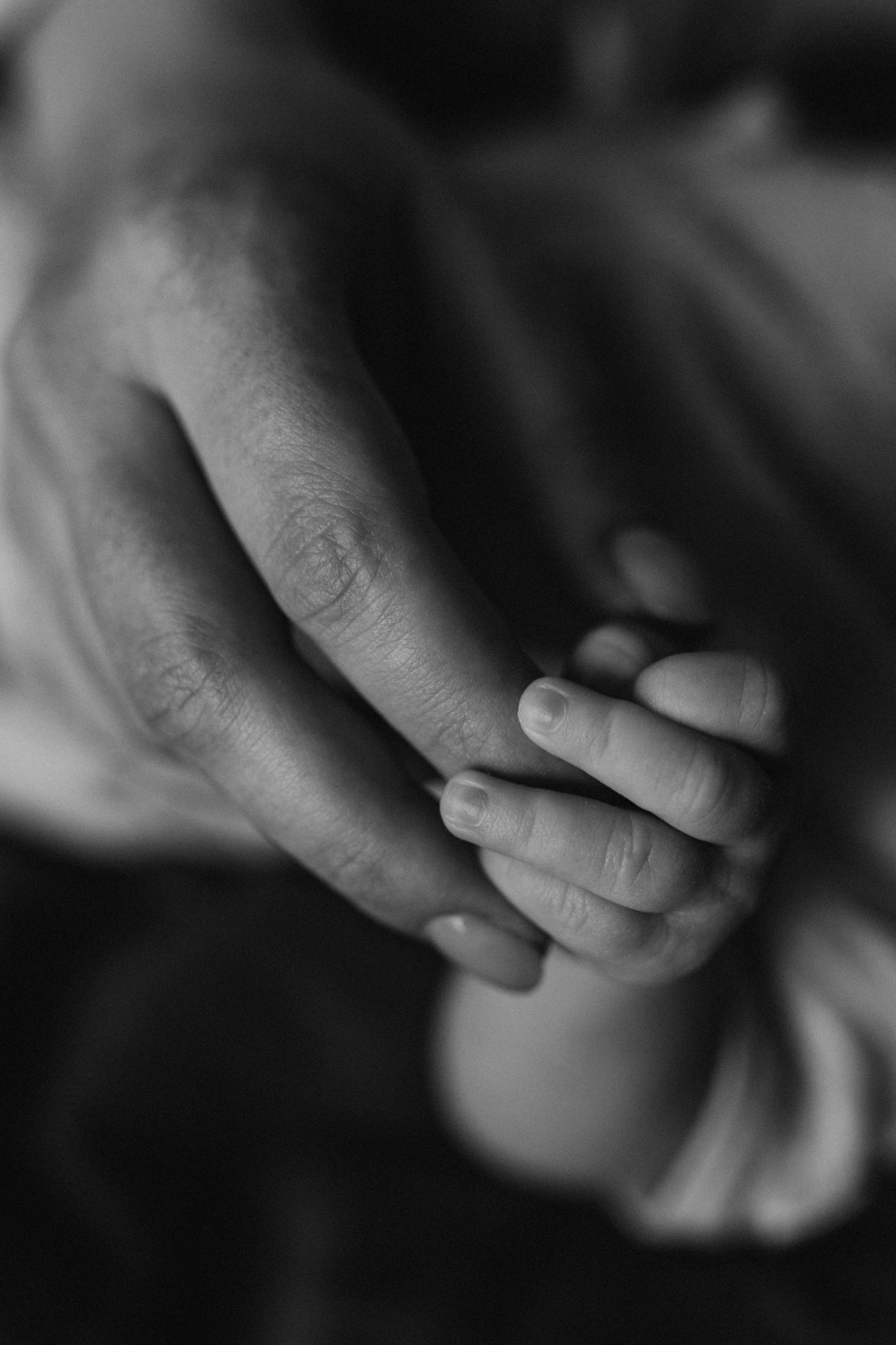 Нью Борн. Семейный и женский фотограф в Москве Коновалова Олеся