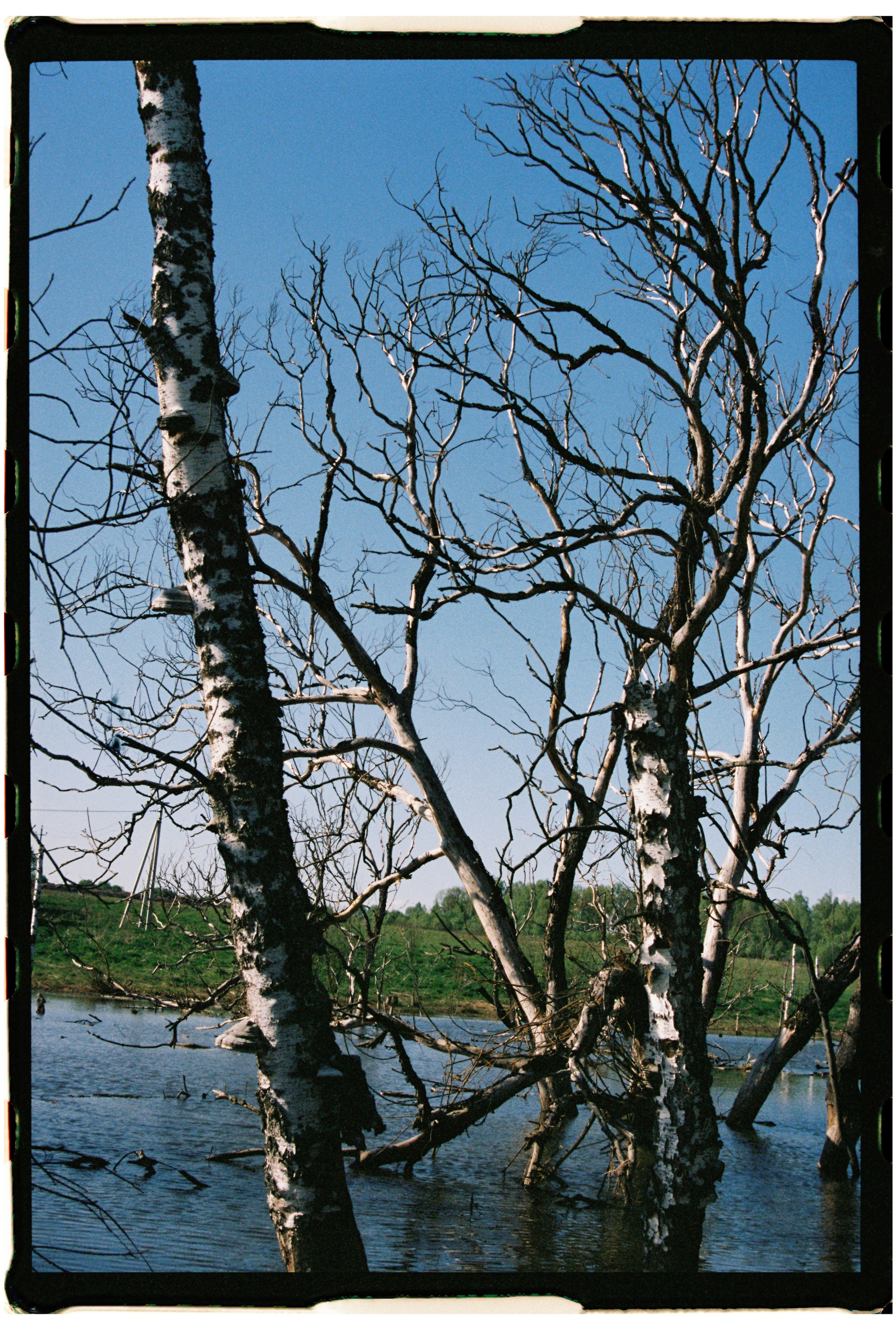 KALUGA. ANNA — PHOTOGRAPHER