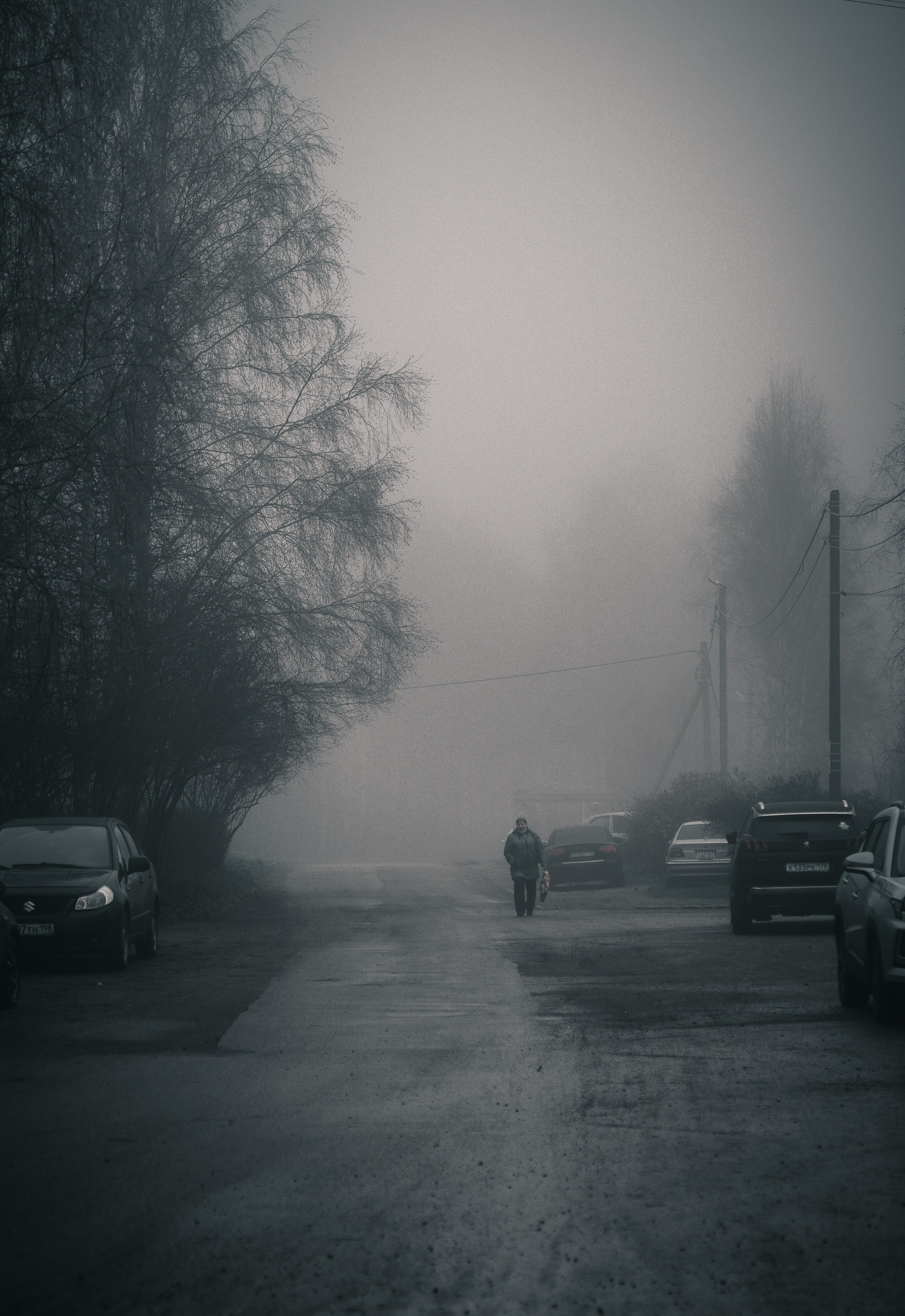 Пожилая женщина с сумкой идёт по заснеженной улице в тумане, старые машины и берёзы, атмосферная уличная фотография зимнего Санкт-Петербурга, Evrednix — Евгений Мальцев.