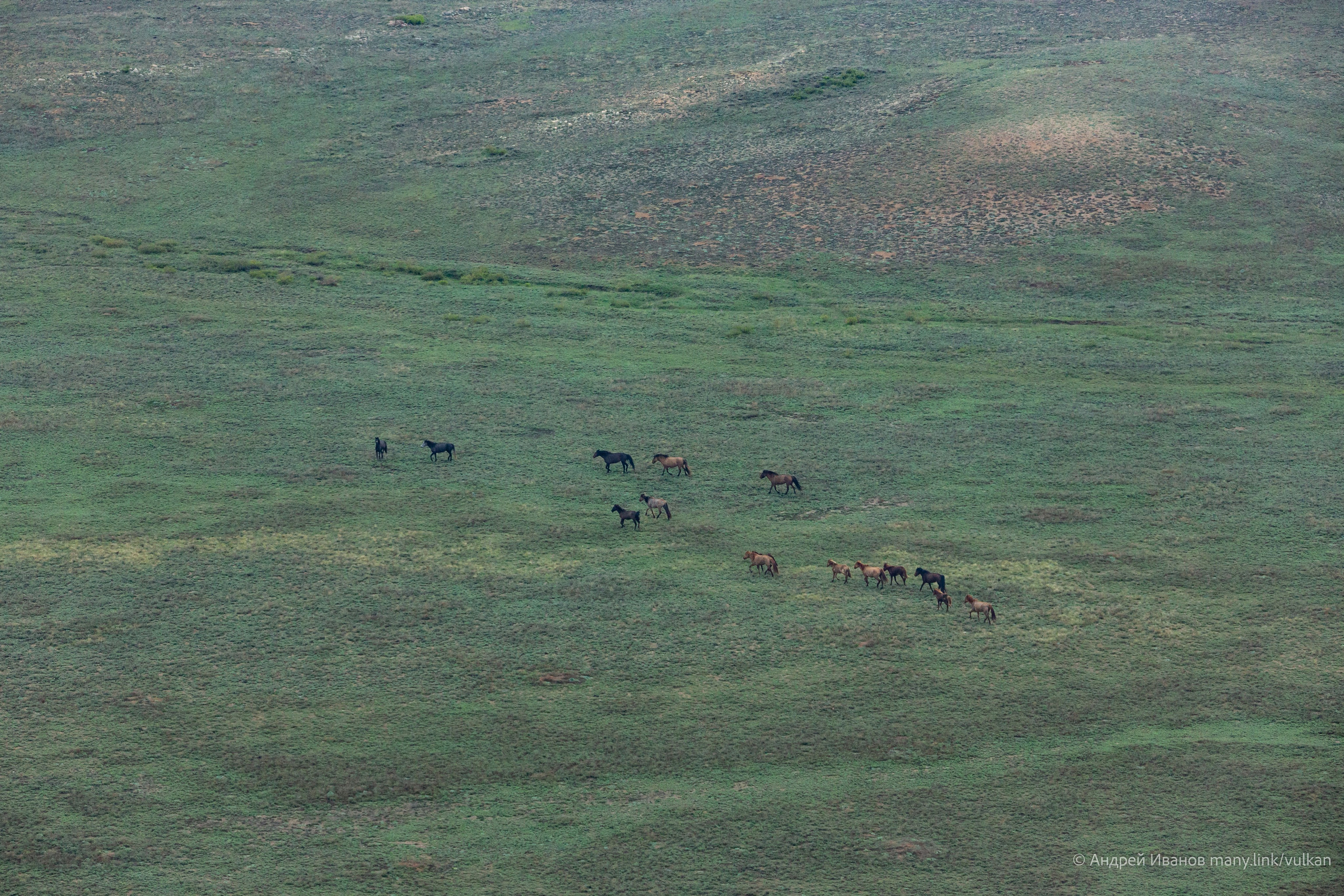 Перелёт на Байконур в 2026 г на самолётах АОН. Фотоальбом показывающий увлекательный мир авиации и мир медведей Андрея Иванова
