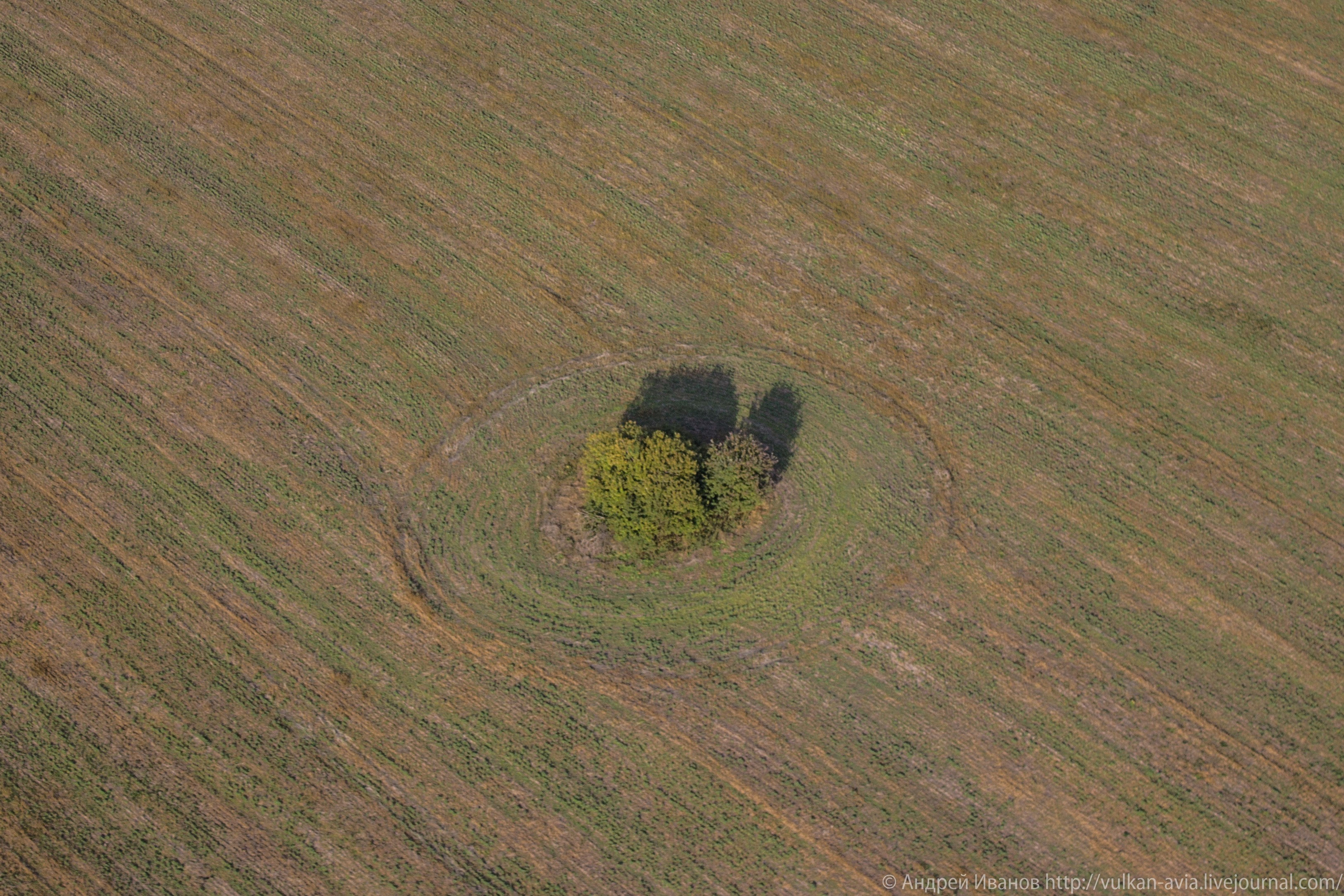 Волгодонск аэр. Потапов слёт «Небо для всех» (2021 г.). Фотоальбом показывающий увлекательный мир авиации и мир медведей Андрея Иванова