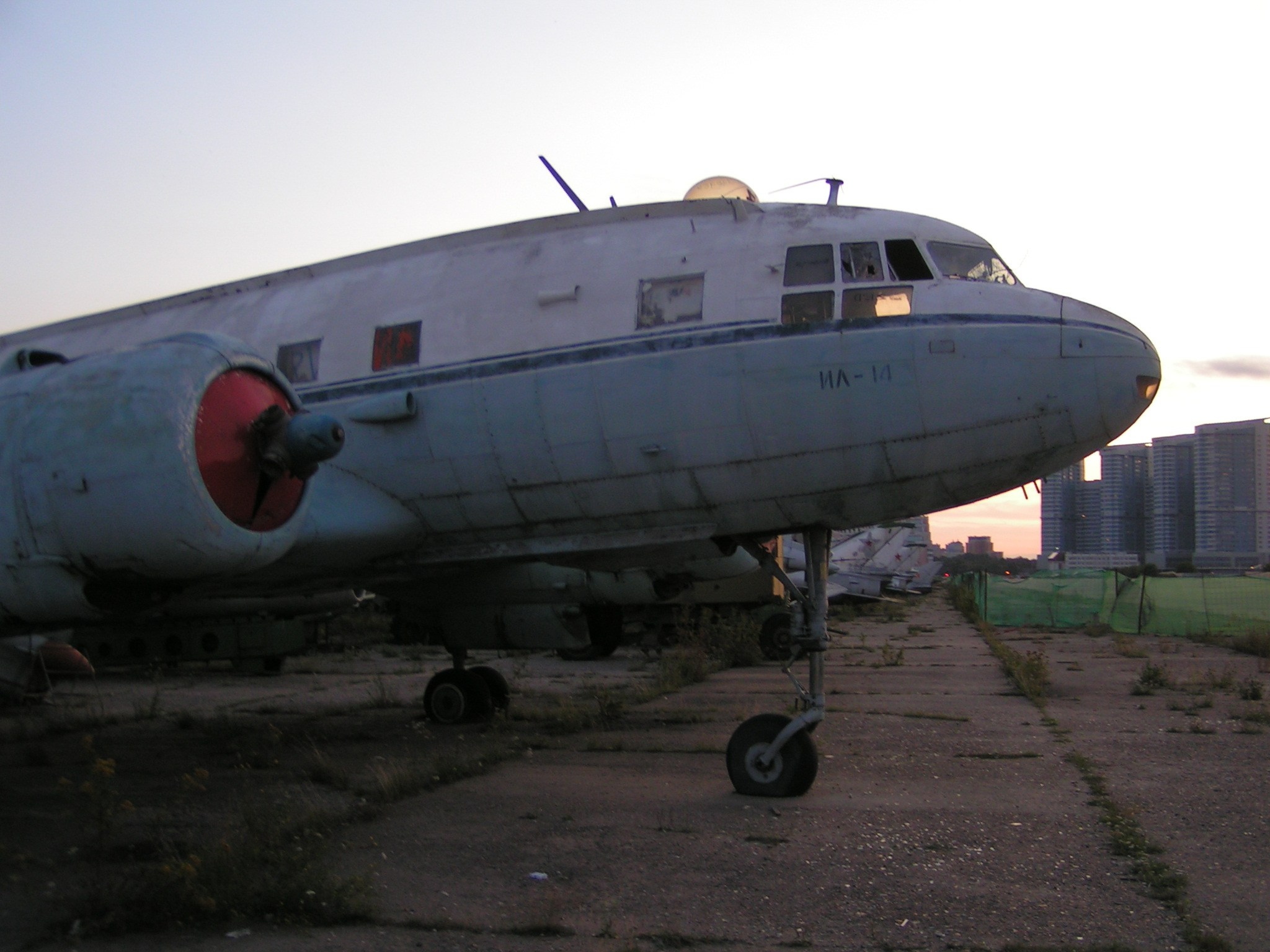 Ил-14 (Ходынка) — уничтожен. Фотоальбом показывающий увлекательный мир авиации и мир медведей Андрея Иванова