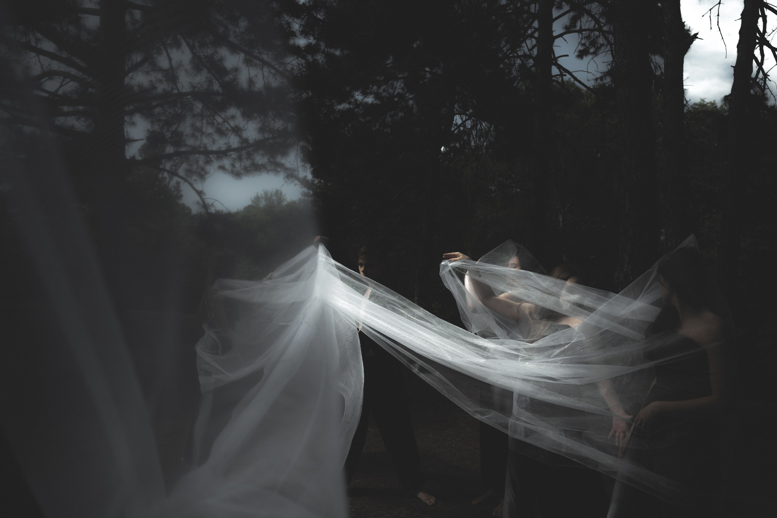 Творческие Проекты. Фото