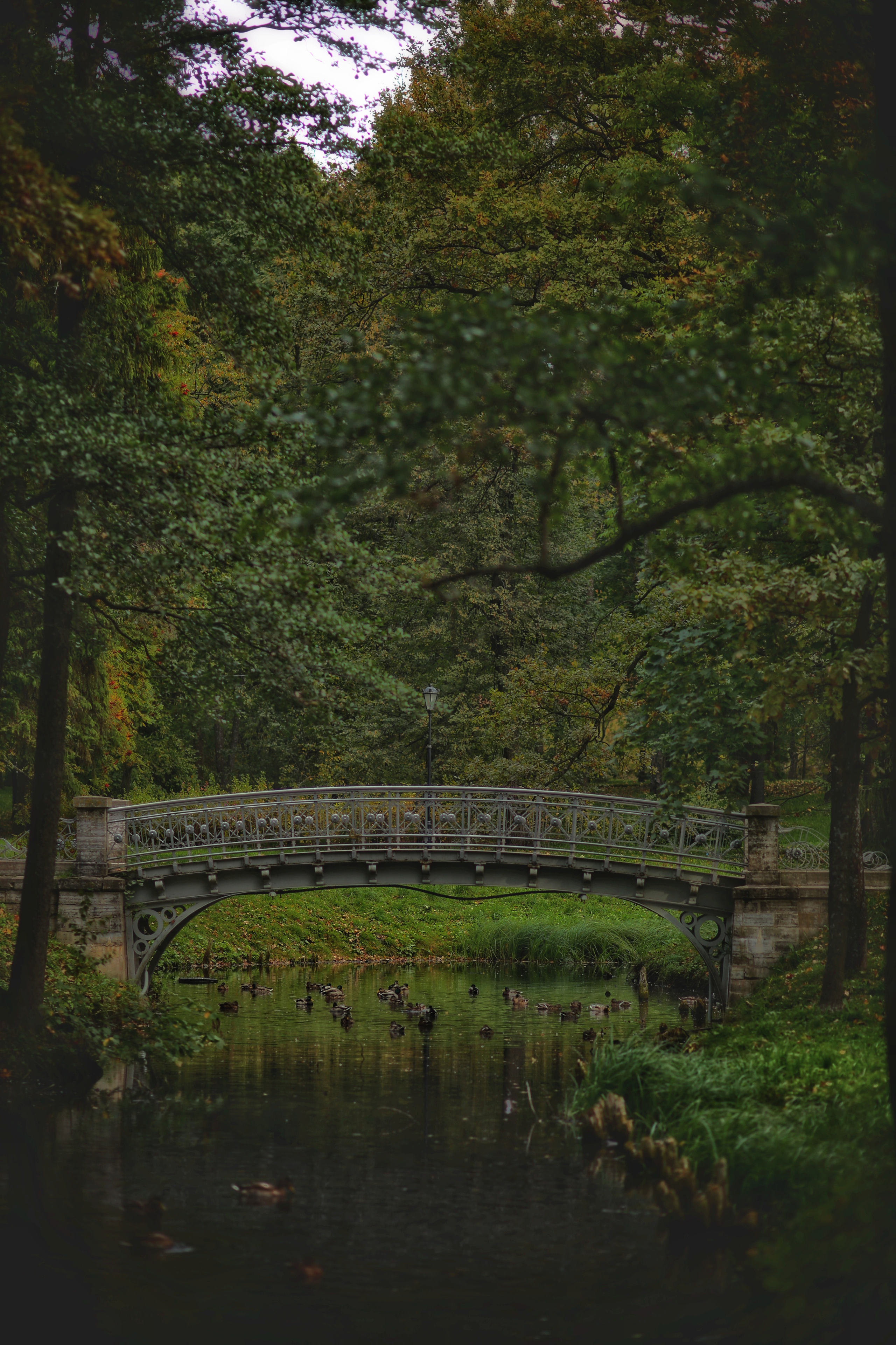 Гатчина. Фотограф в г. Сургуте Марина Киприна